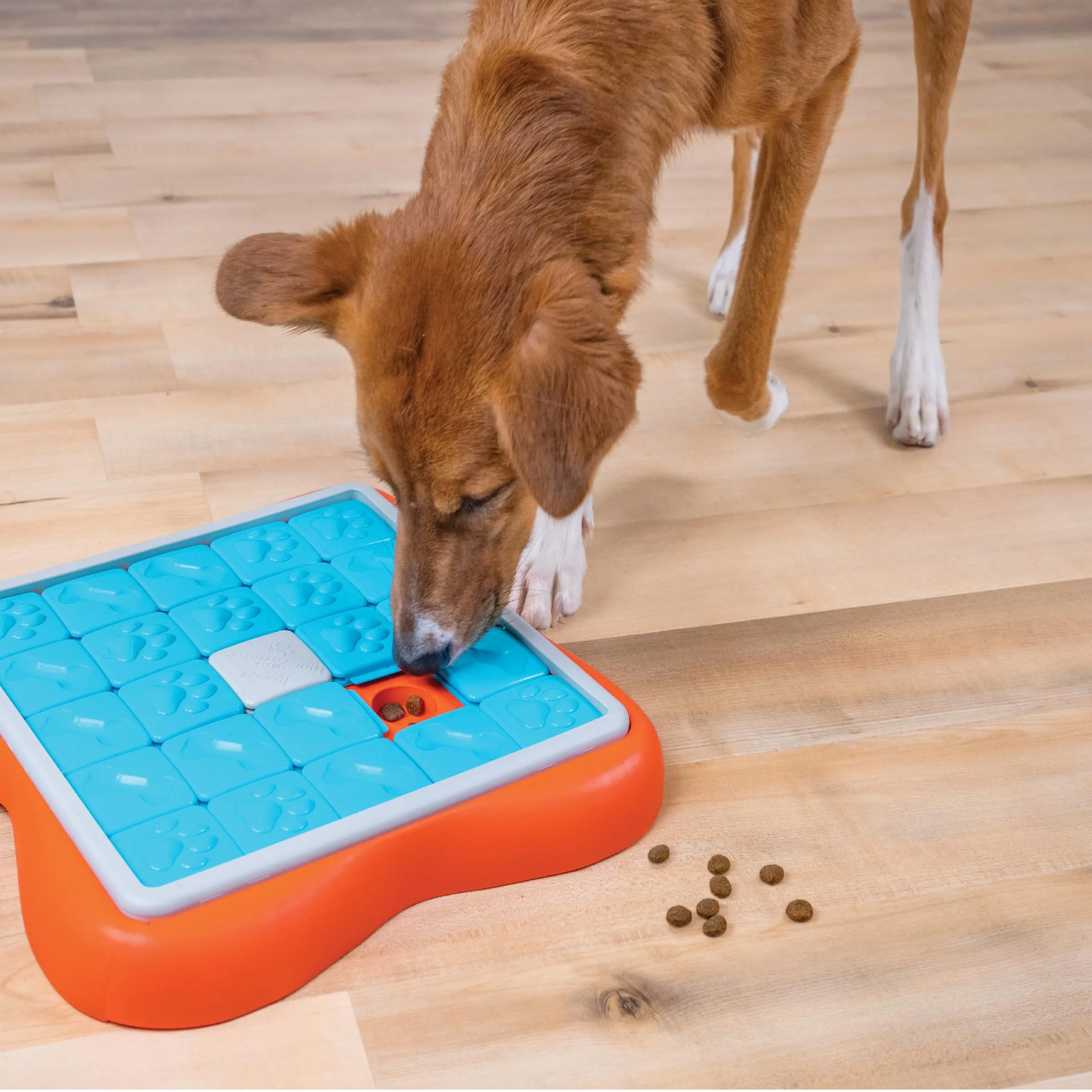 Outward Hound Nina Ottosson Challenge Slider - Gioco Rompicapo Interattivo per Cani, Livello 3 (Avanzato) - immagine 8