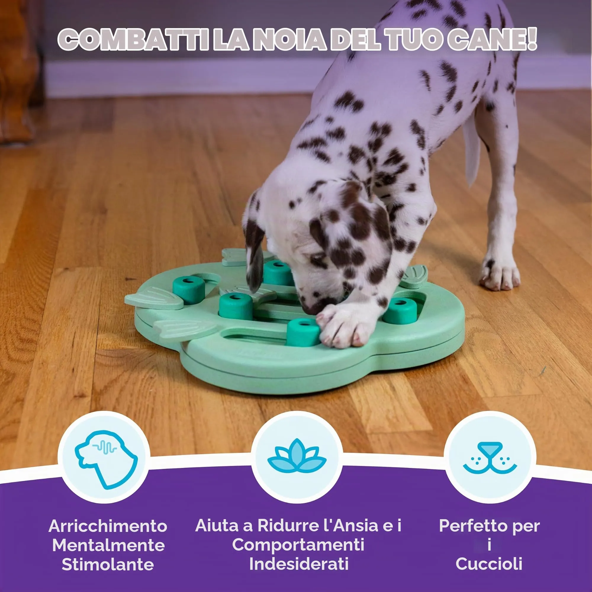 Outward Hound Nina Ottosson Puppy Hide n' Slide Gioco Interattivo per Cani Livello 2 - Verde - immagine 2