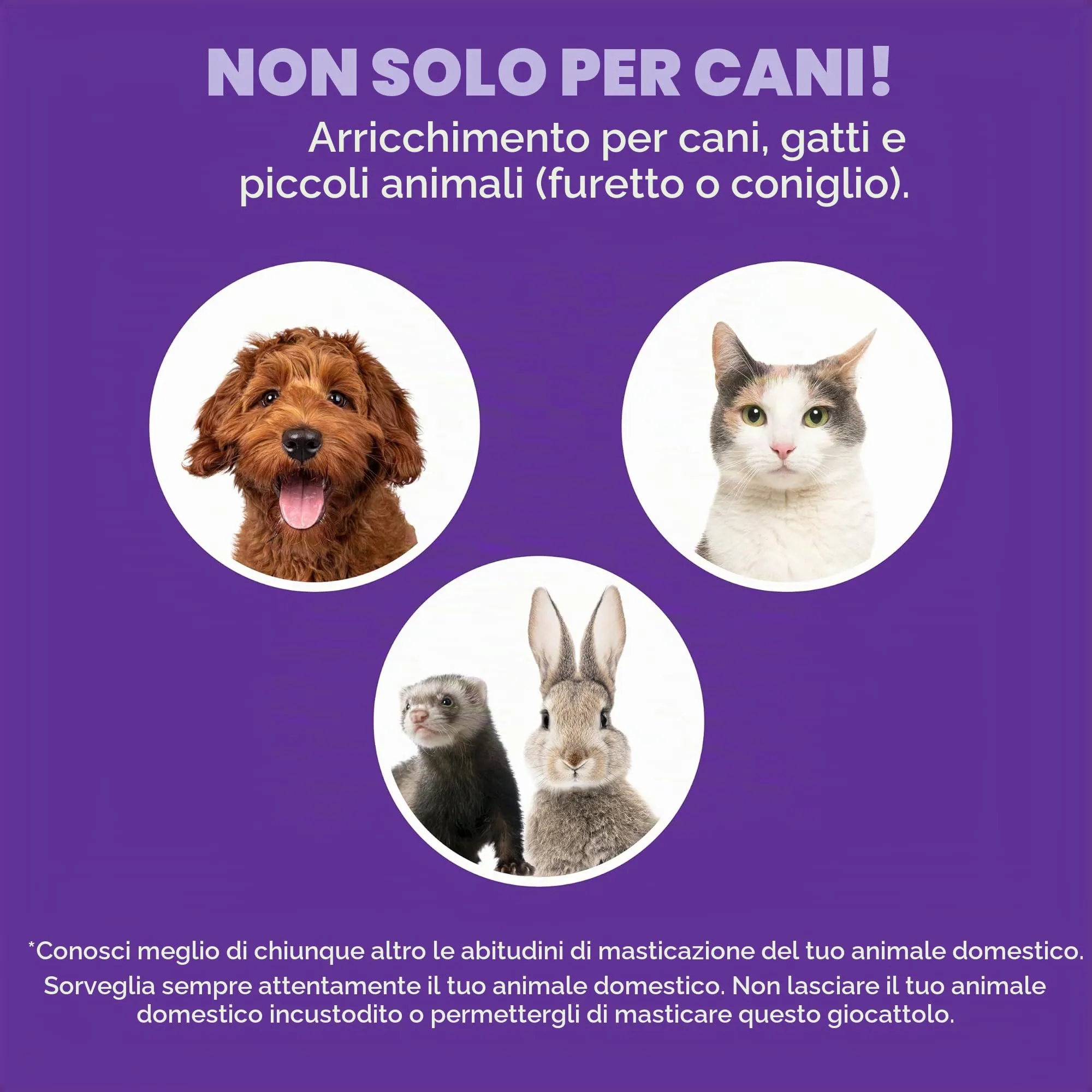 Outward Hound Nina Ottosson Puppy Hide n' Slide Gioco Interattivo per Cani Livello 2 - Verde - immagine 5
