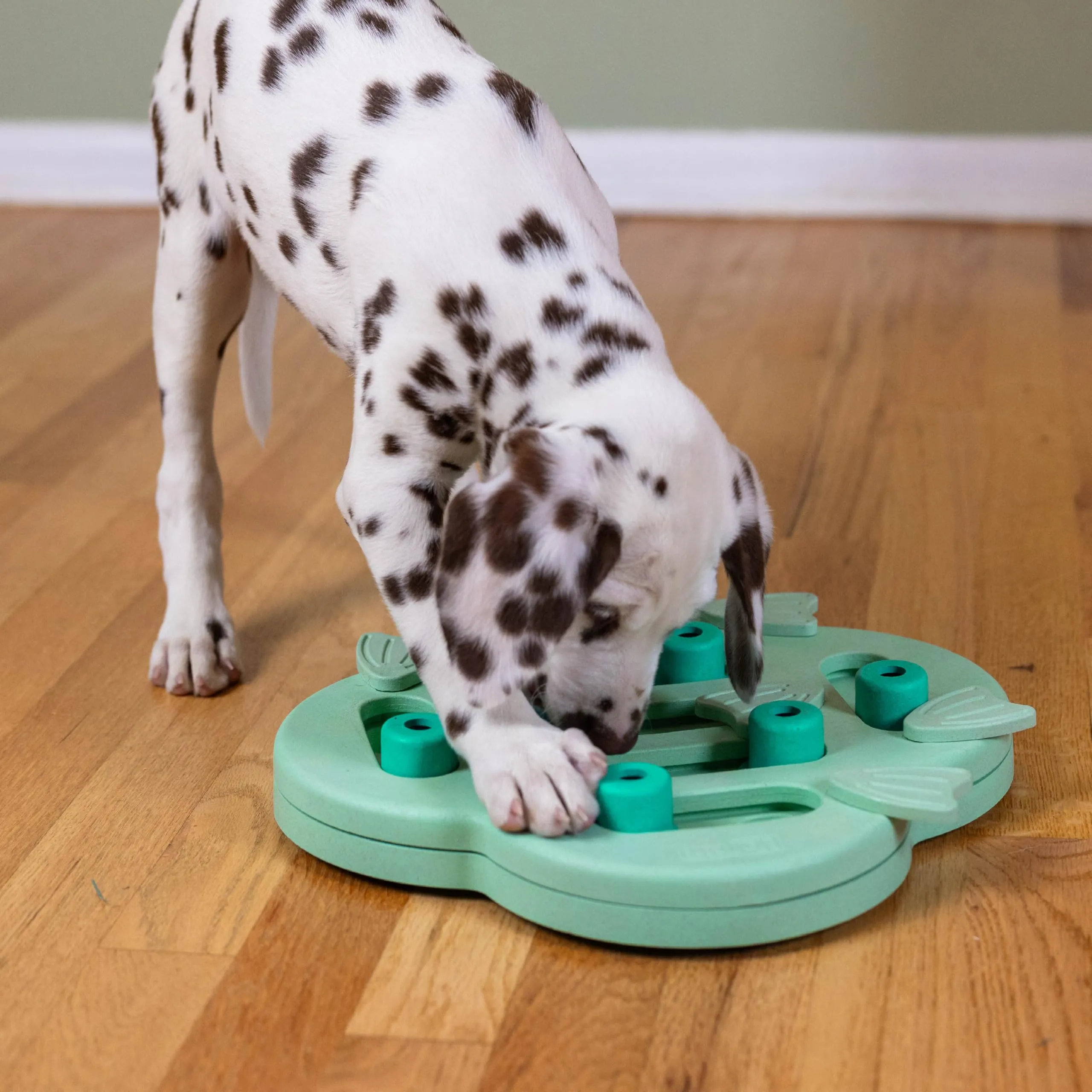 Outward Hound Nina Ottosson Puppy Hide n' Slide Gioco Interattivo per Cani Livello 2 - Verde - immagine 8