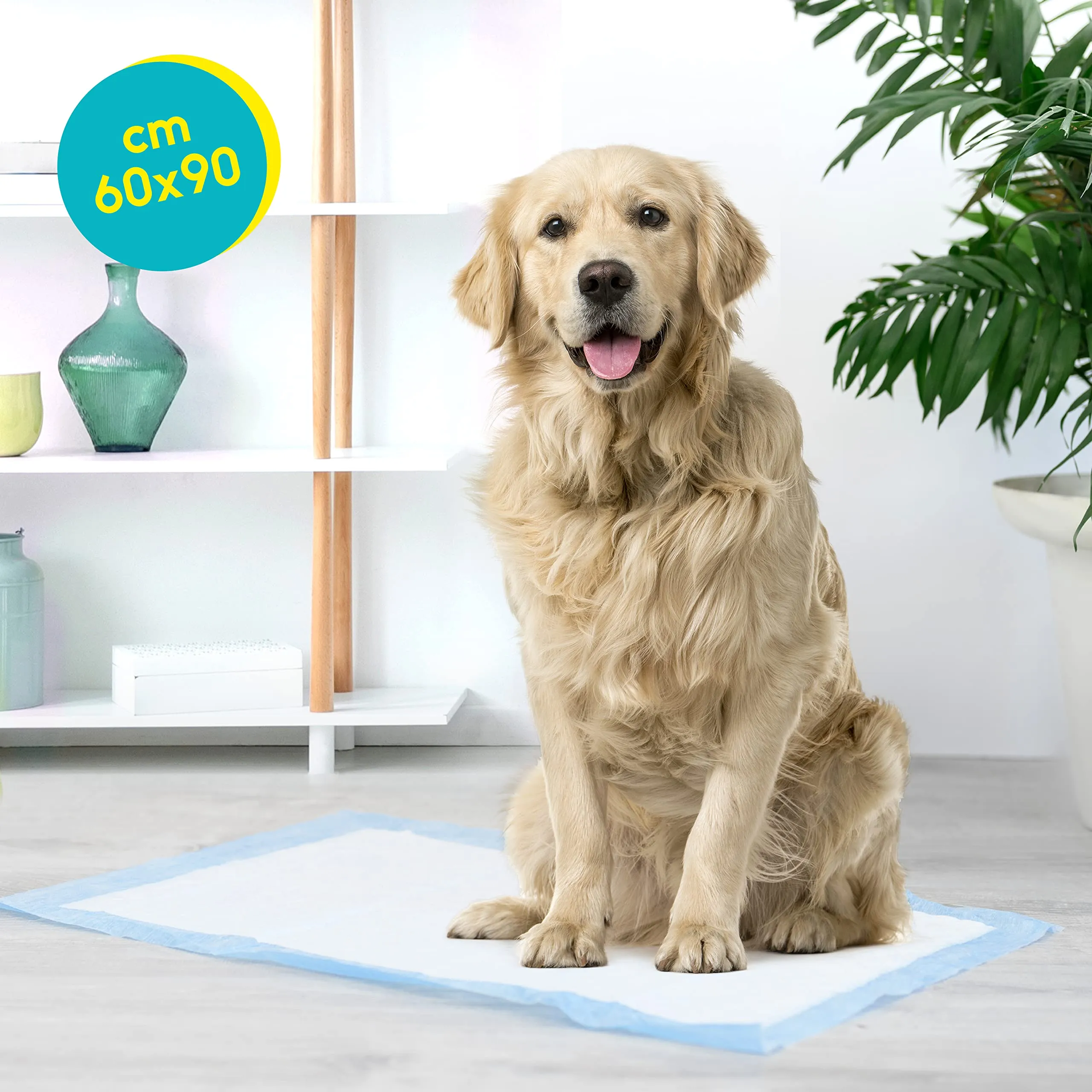 Record Tapiss Tappetini Igienici per Cani, 60x90cm, Confezione 100 pz - immagine 5
