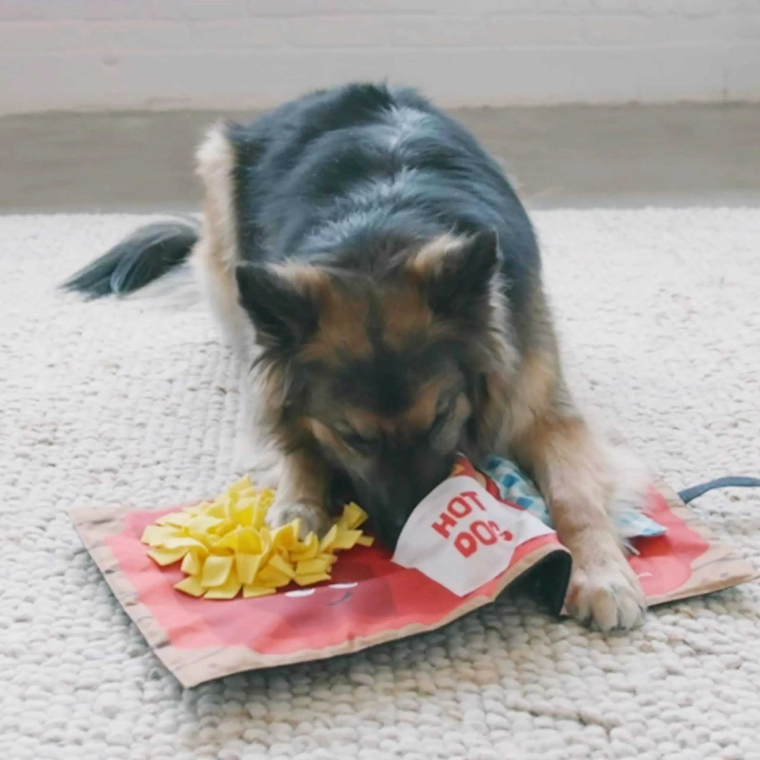 Outward Hound Nina Ottosson Activity Matz Fast Food Fun Dog Puzzle Mat - immagine 2