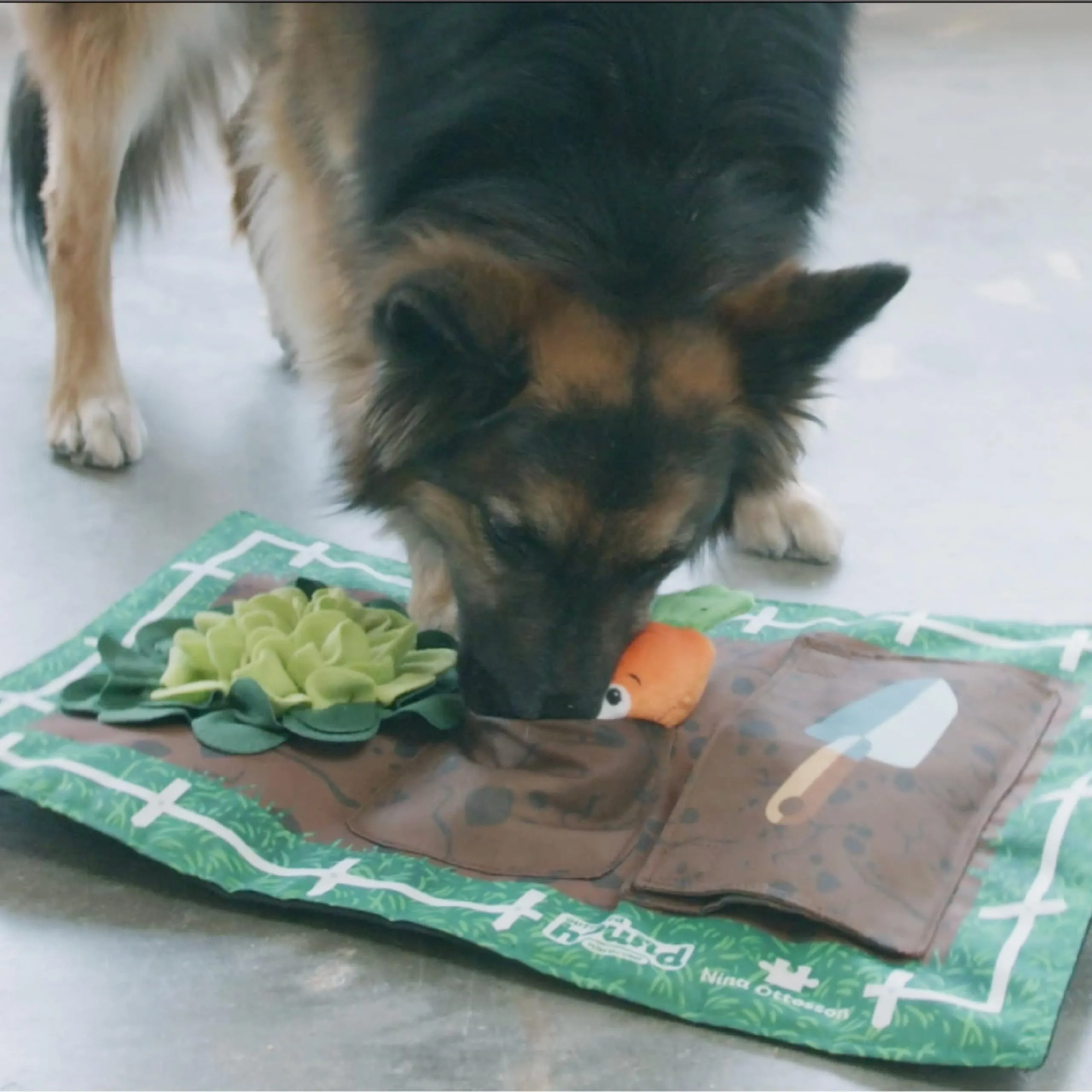 Outward Hound Nina Ottosson Activity Matz Garden Game Dog Puzzle Mat - immagine 5