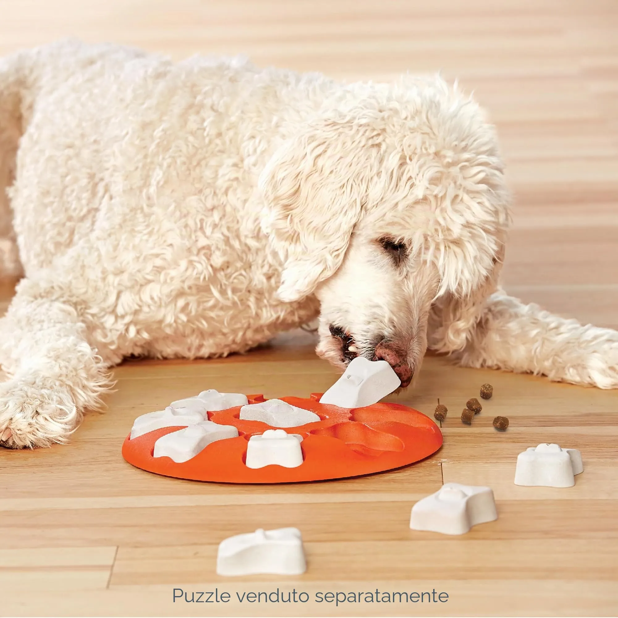 Outward Hound Nina Ottosson Ossi di ricambio per rompicapo per cani, 5 pezzi - immagine 4