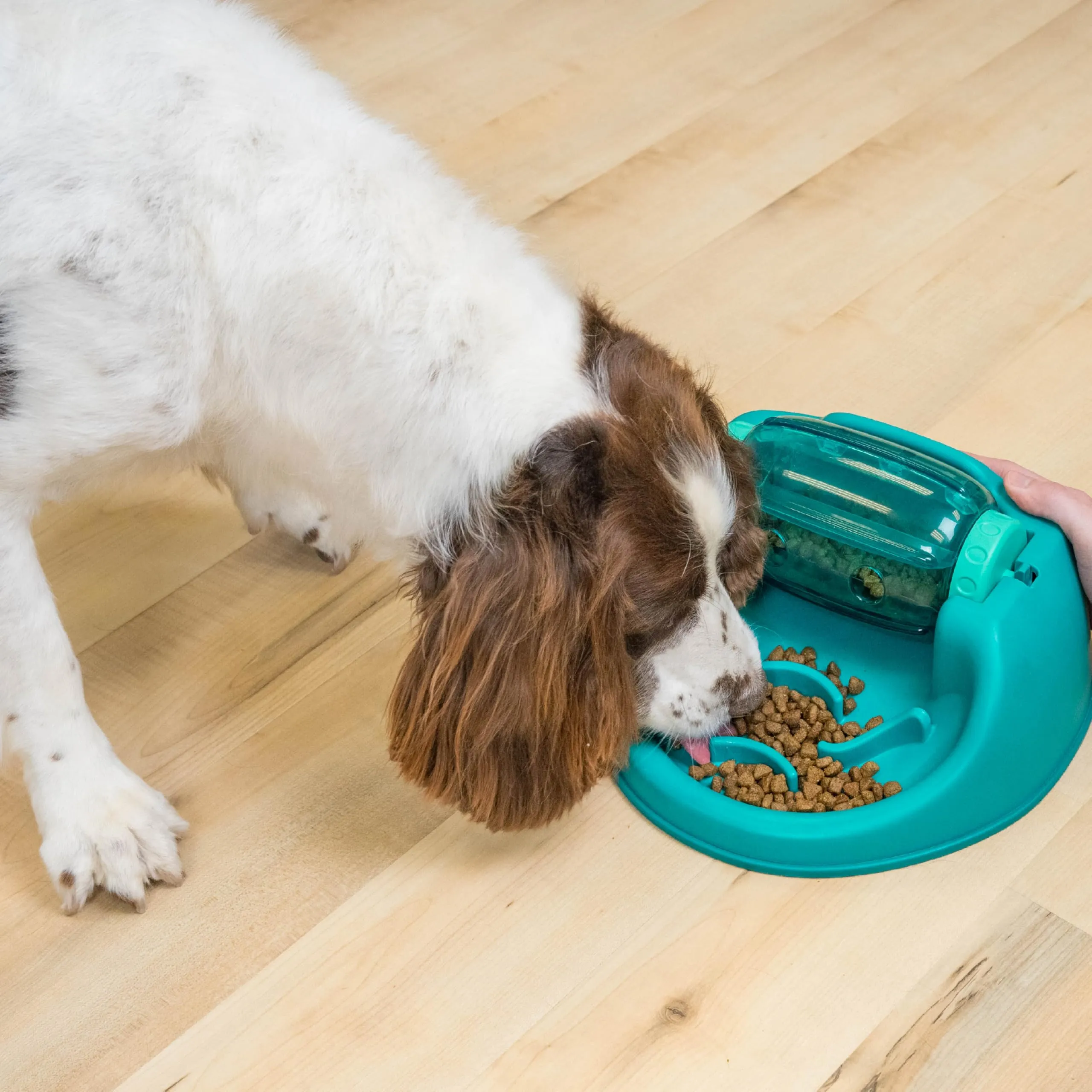 Outward Hound Nina Ottosson Spin N' Eat Dog Food Puzzle Feeder, Green - immagine 2