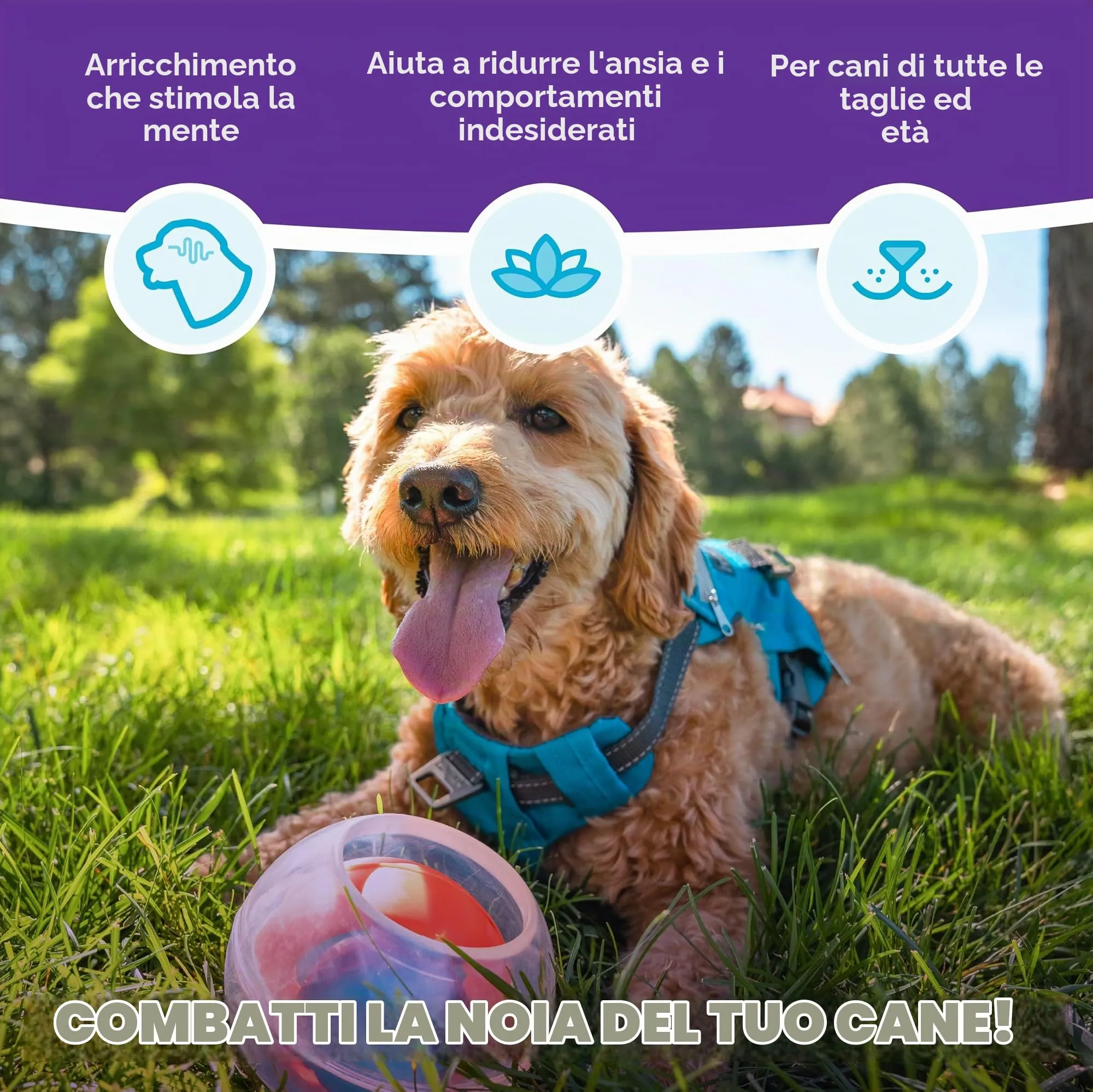Outward Hound Nina Ottosson Dog Rumble Puzzle - immagine 3