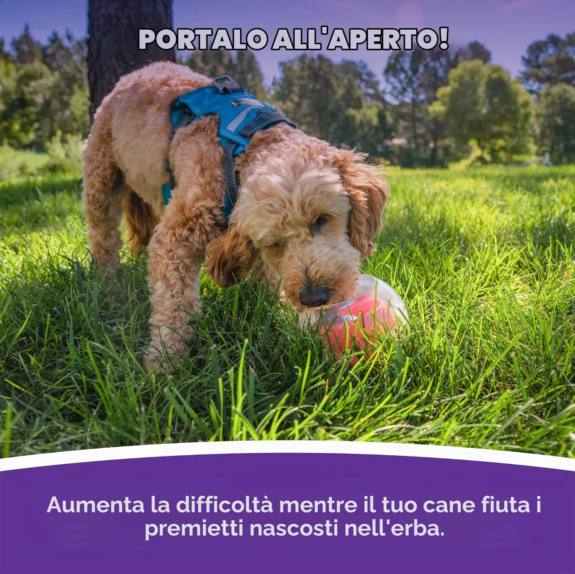 Outward Hound Nina Ottosson Dog Rumble Puzzle - immagine 5