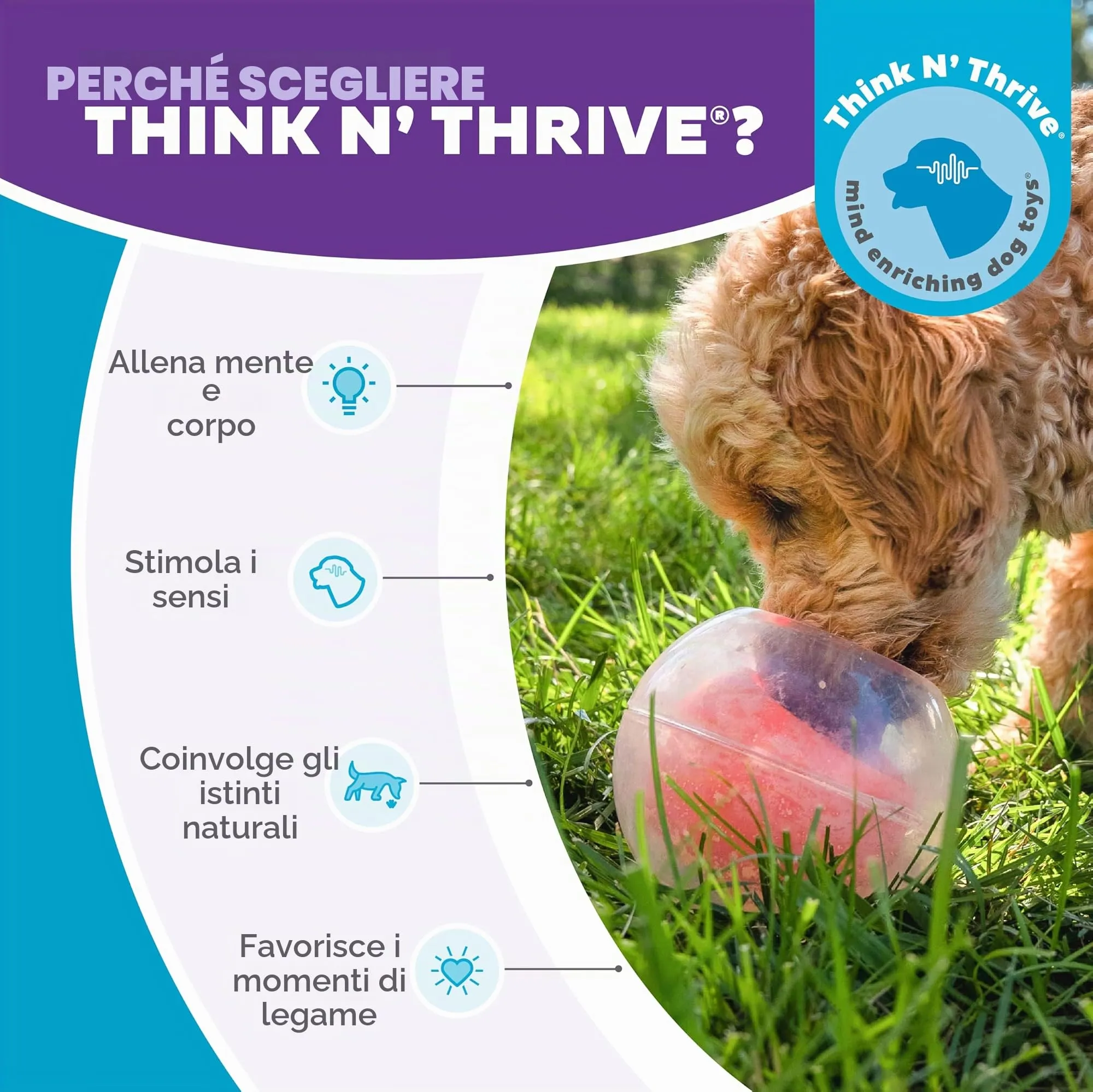 Outward Hound Nina Ottosson Dog Rumble Puzzle - immagine 6