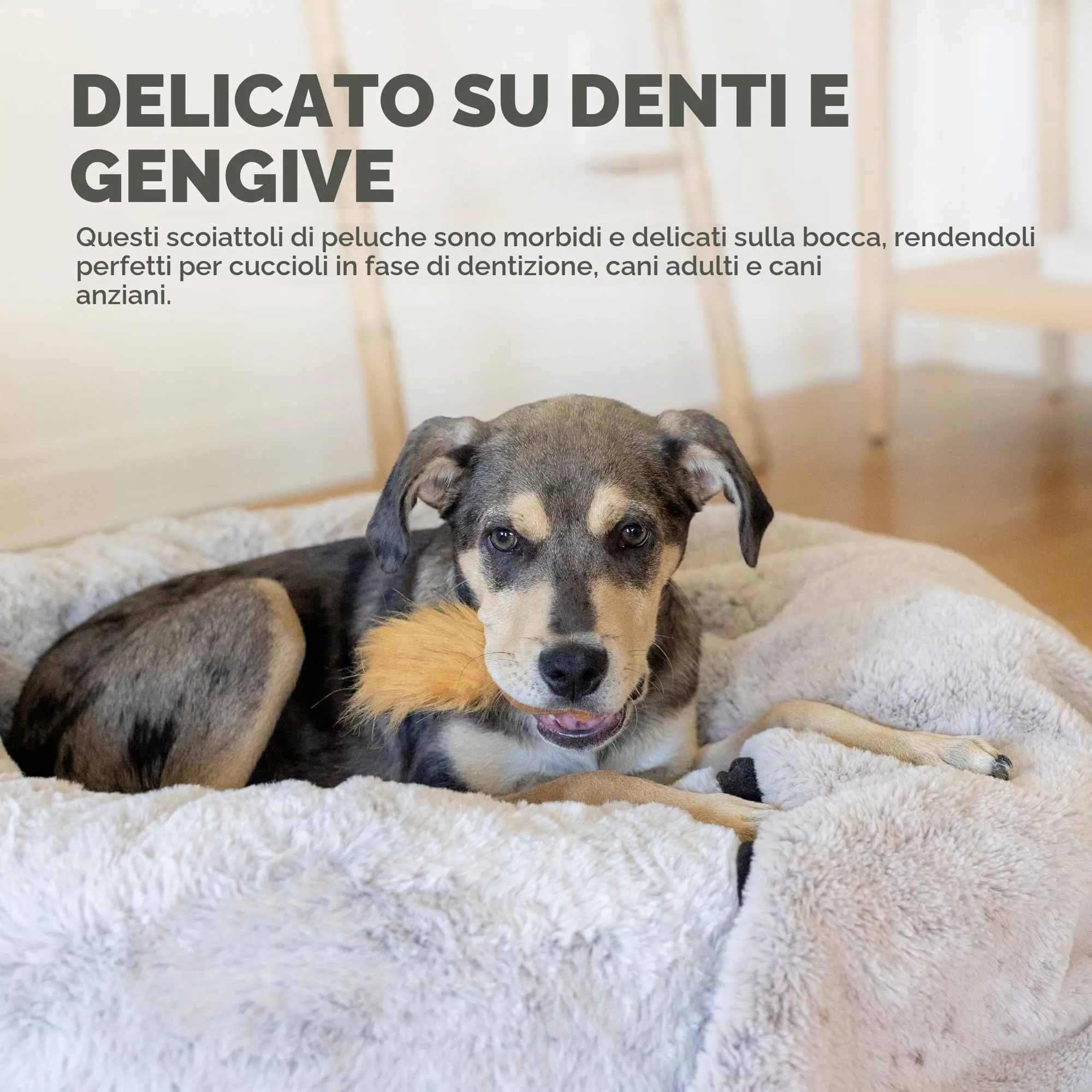Outward Hound Nina Ottosson Snuffle Treat Replacement Chipmunks Brown (Pack of 3) - immagine 4
