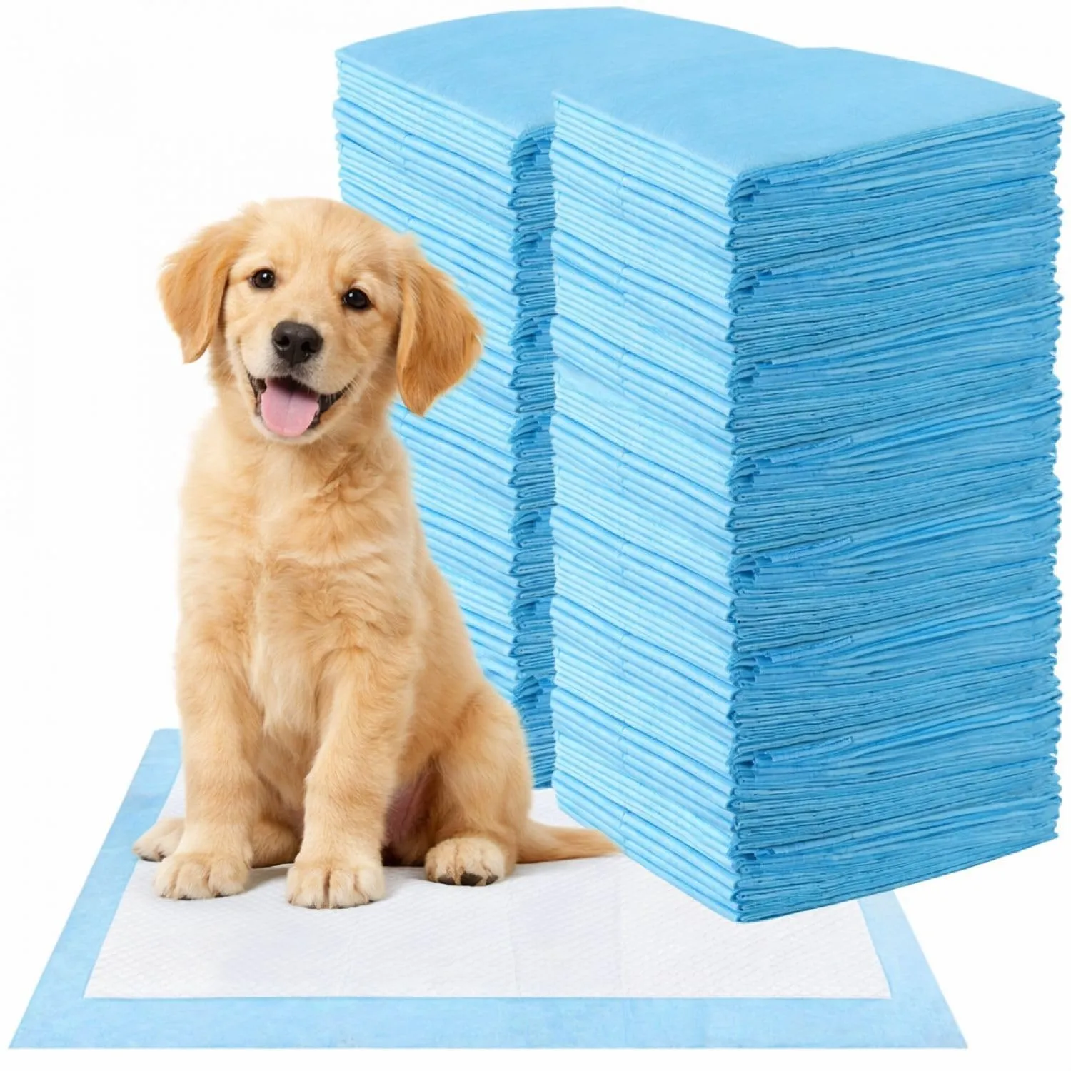 Leonardo fai Da Te Tappetini Igienici per Cani, 60x60 cm, 200 Pezzi - immagine 1