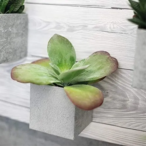 d-c-fix Pellicola Adesiva per Mobili Legno Shabby 67,5 cm x 2 m - immagine 6
