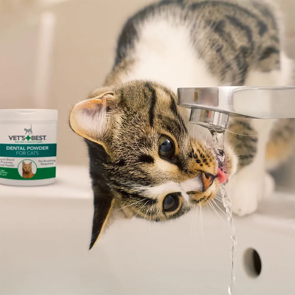 Vet's Best Polvere Dentale Naturale Avanzata per Gatti, 45g - immagine 3