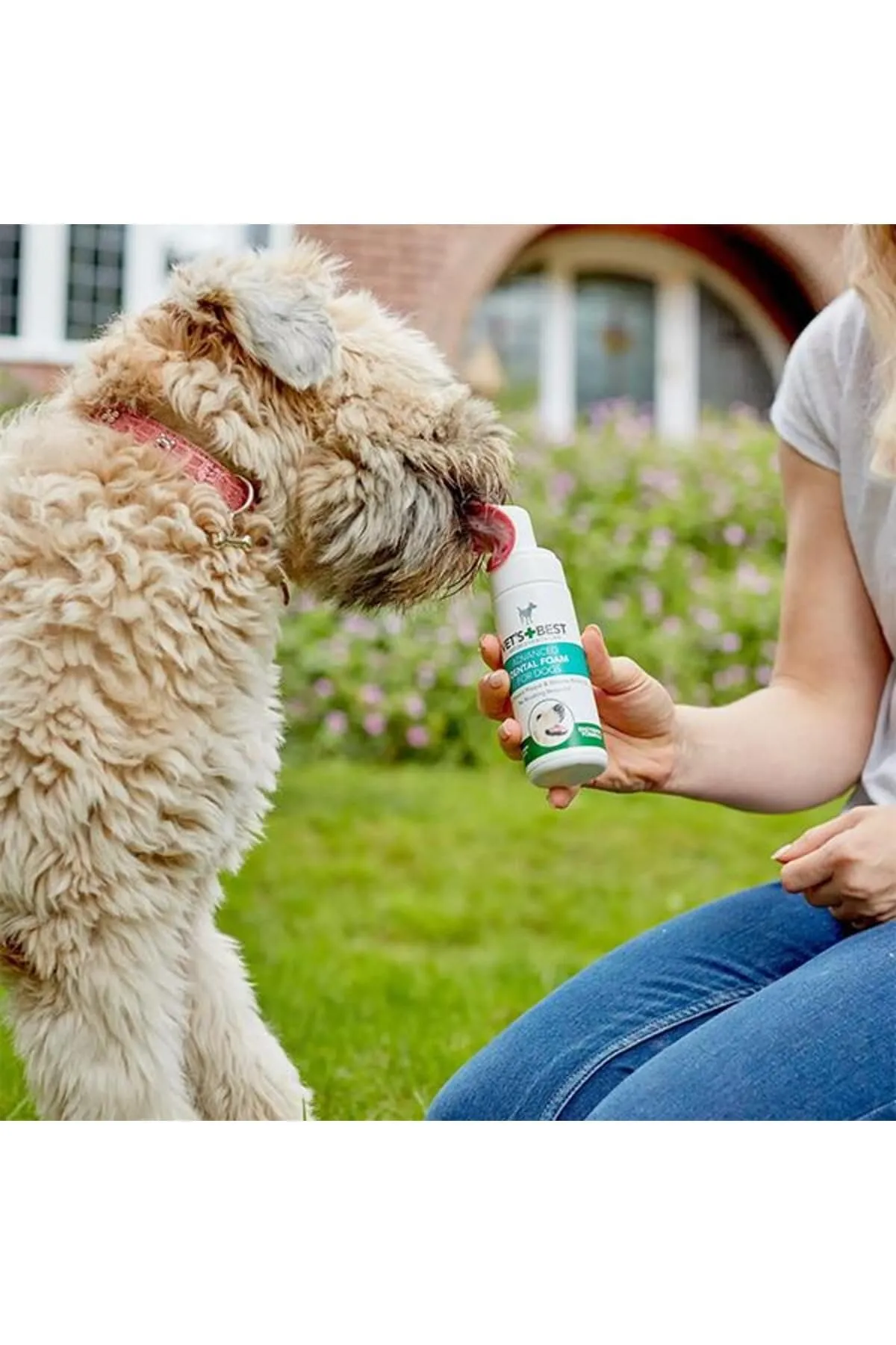 Vet's Best Schiuma Dentale Enzimatica per Cani 120ml - immagine 3