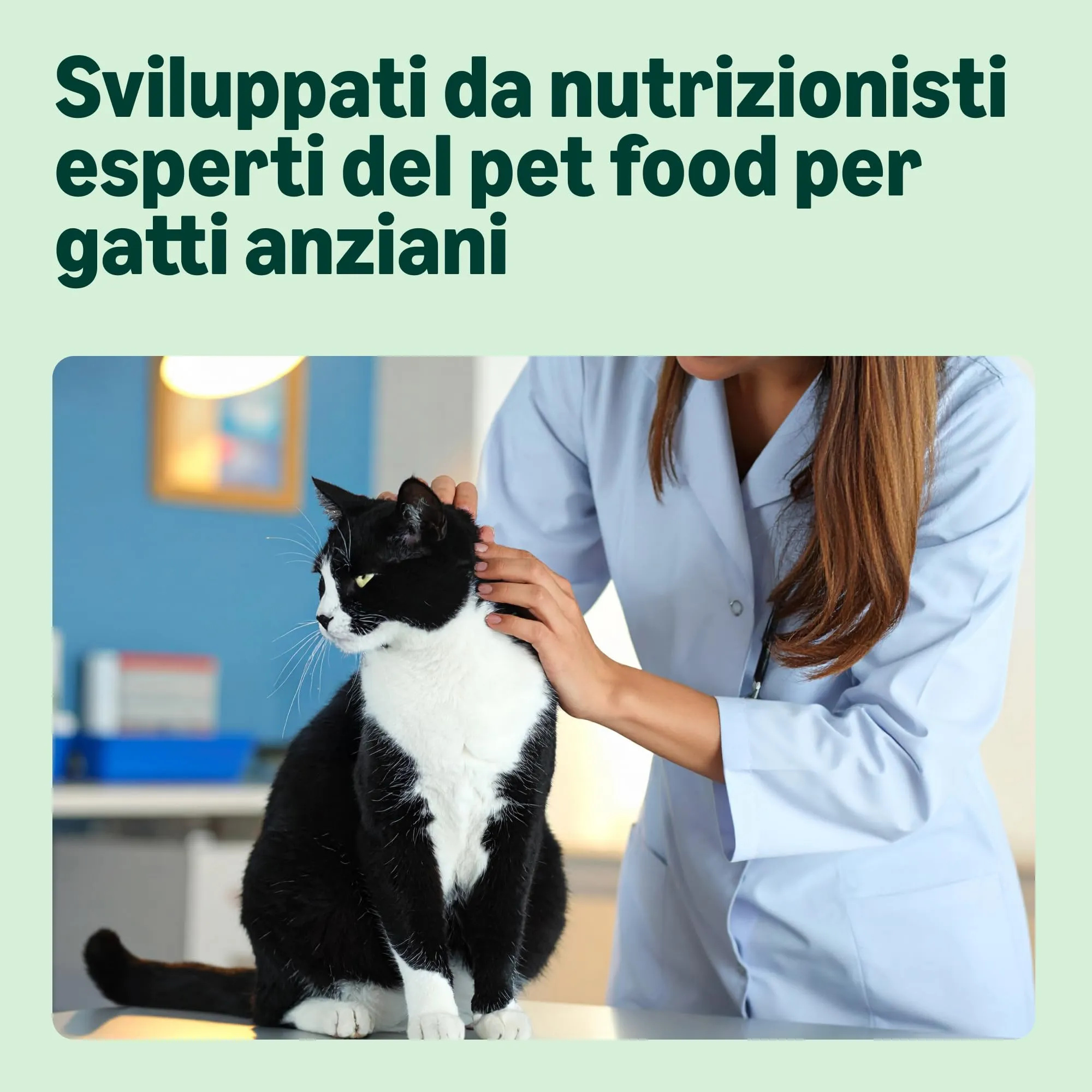 by Amazon Grainfree Recipe Dry Cat Food Senior with Fresh Chicken, 3kg - immagine 3