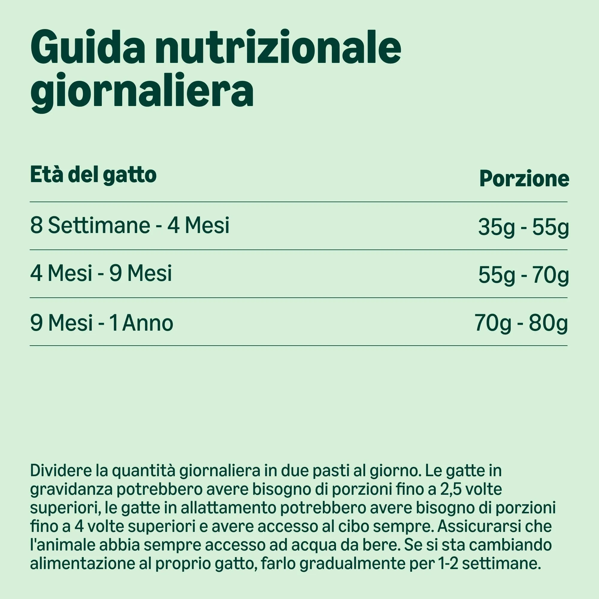 by Amazon Grainfree Recipe Dry Cat Food for Kittens with Fresh Chicken, 3kg - immagine 5