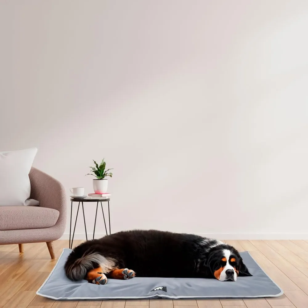 Ferplast Jolly Cuccia Cane e Gatto Antigraffio e Impermeabile, Tessuto Tecnico, Taglia Grande, 108 x 79 x 3,5 cm, Grigio - immagine 3