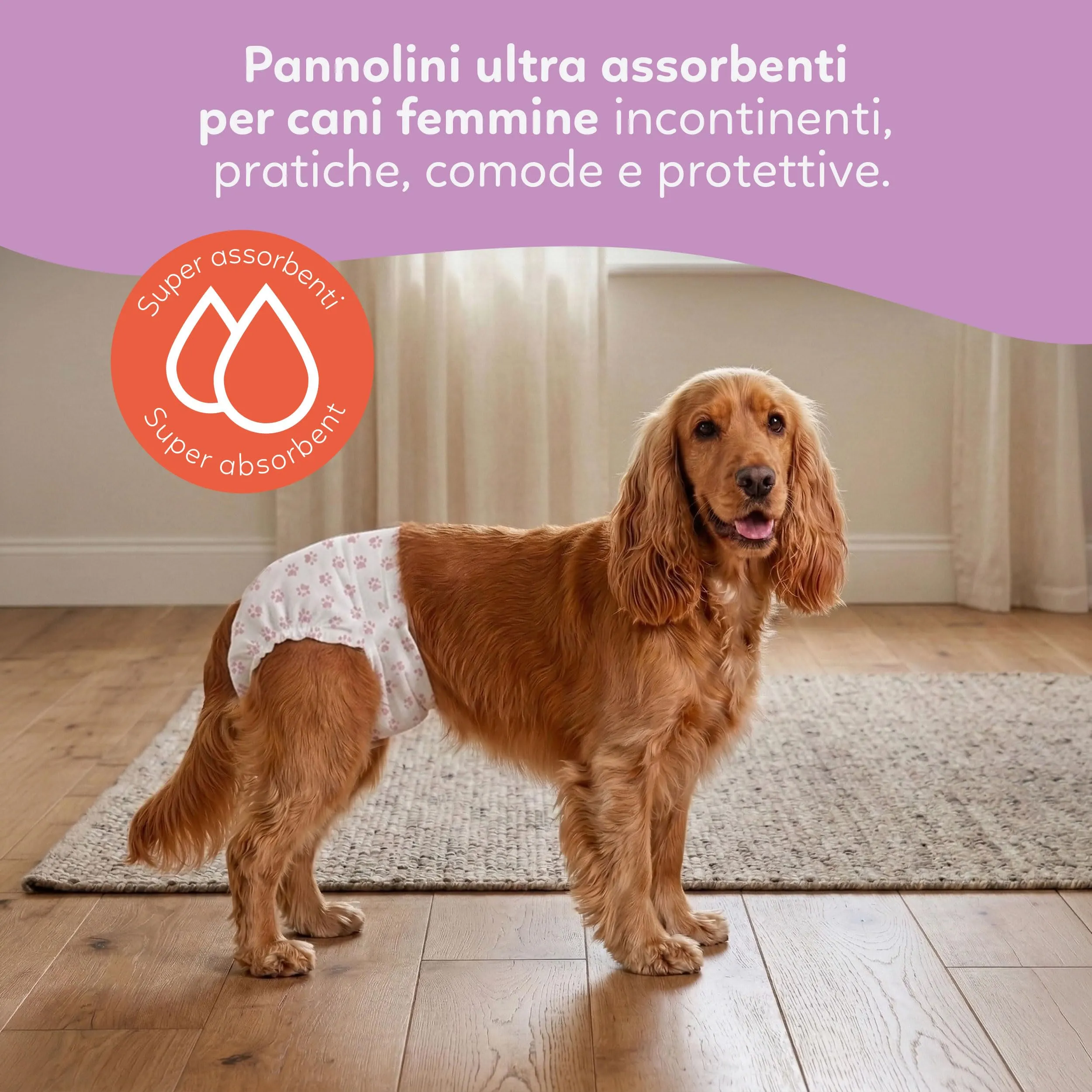 Aqpet Pannolini Igienici a Mutanda per Cani Femmine, Taglia Large 520x320mm, Confezione da 30 Pezzi - immagine 5