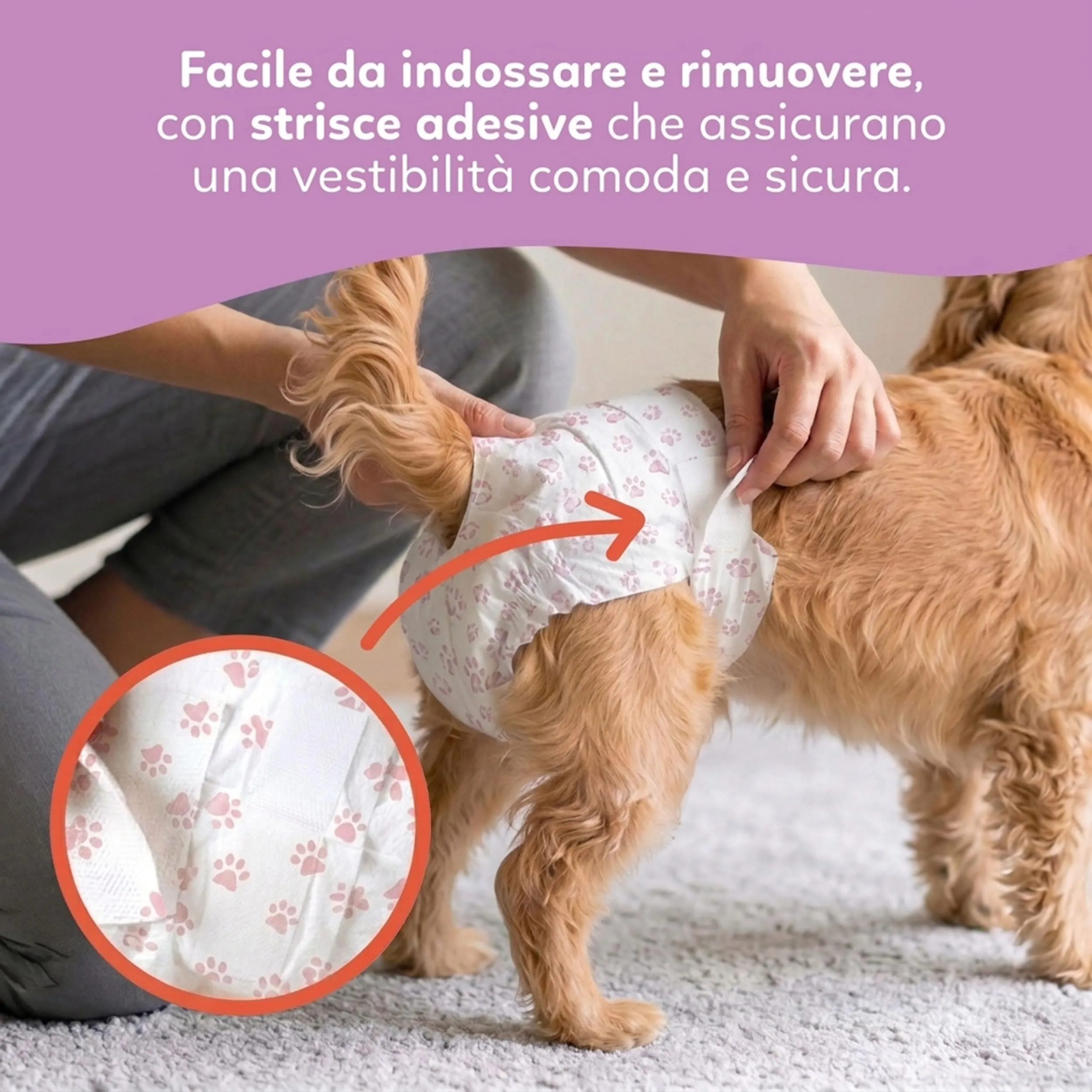 Aqpet Pannolini Igienici a Mutanda per Cani Femmine, Taglia Large 520x320mm, Confezione da 30 Pezzi - immagine 6