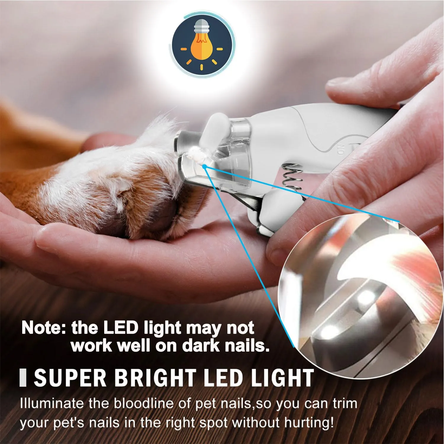 WWVVPET Tagliaunghie per Animali Domestici con Luce LED per Gatti e Cani - immagine 2