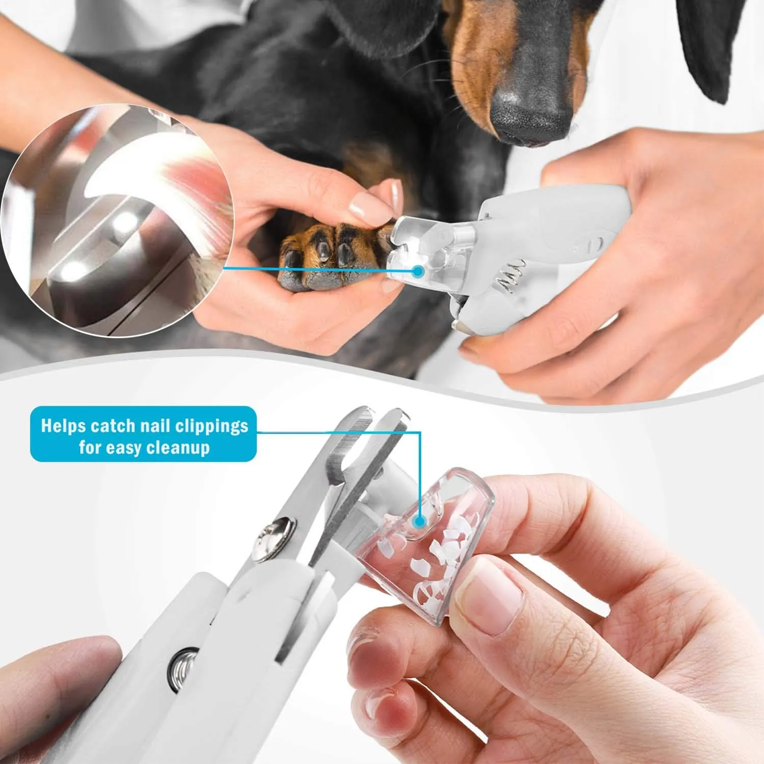 WWVVPET Tagliaunghie per Animali Domestici con Luce LED per Gatti e Cani - immagine 7