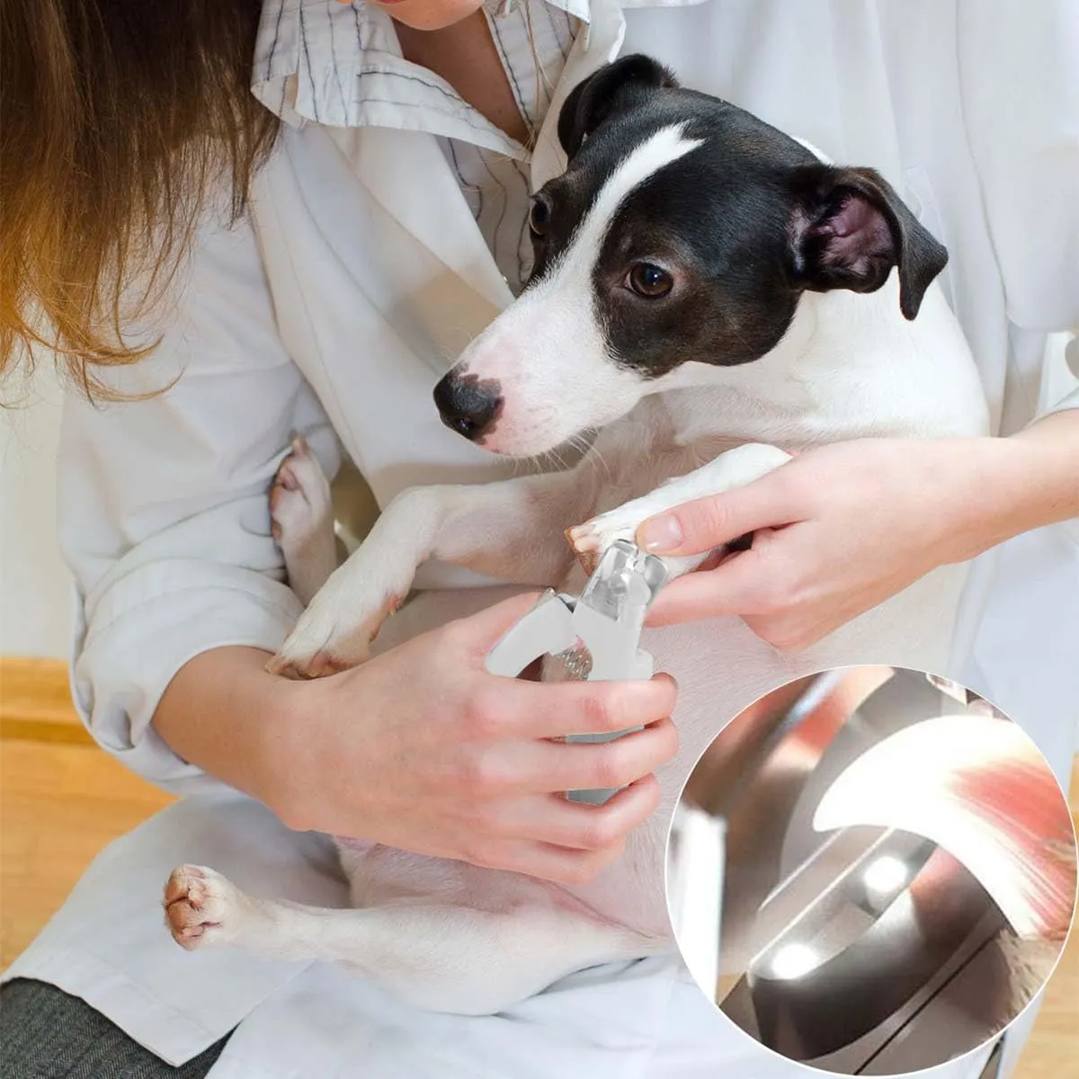 WWVVPET Tagliaunghie per Animali Domestici con Luce LED per Gatti e Cani - immagine 10