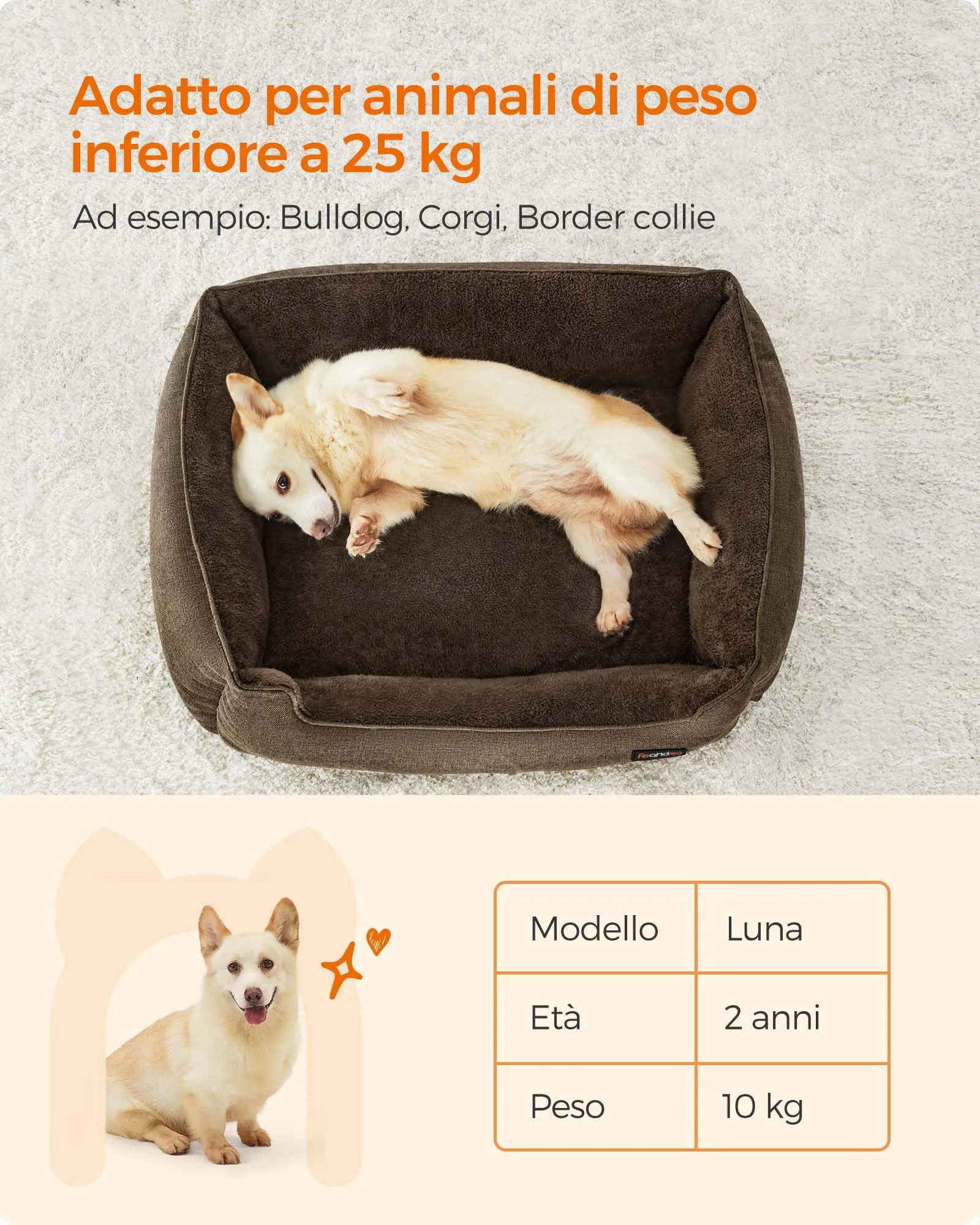 Feandrea Cuccia per Cani in Simil Lino, Bordi Rialzati, Fondo Antiscivolo, Copertura Sfoderabile, Taglia L, 90 x 75 x 25 cm, Marrone PGW11CC - immagine 9