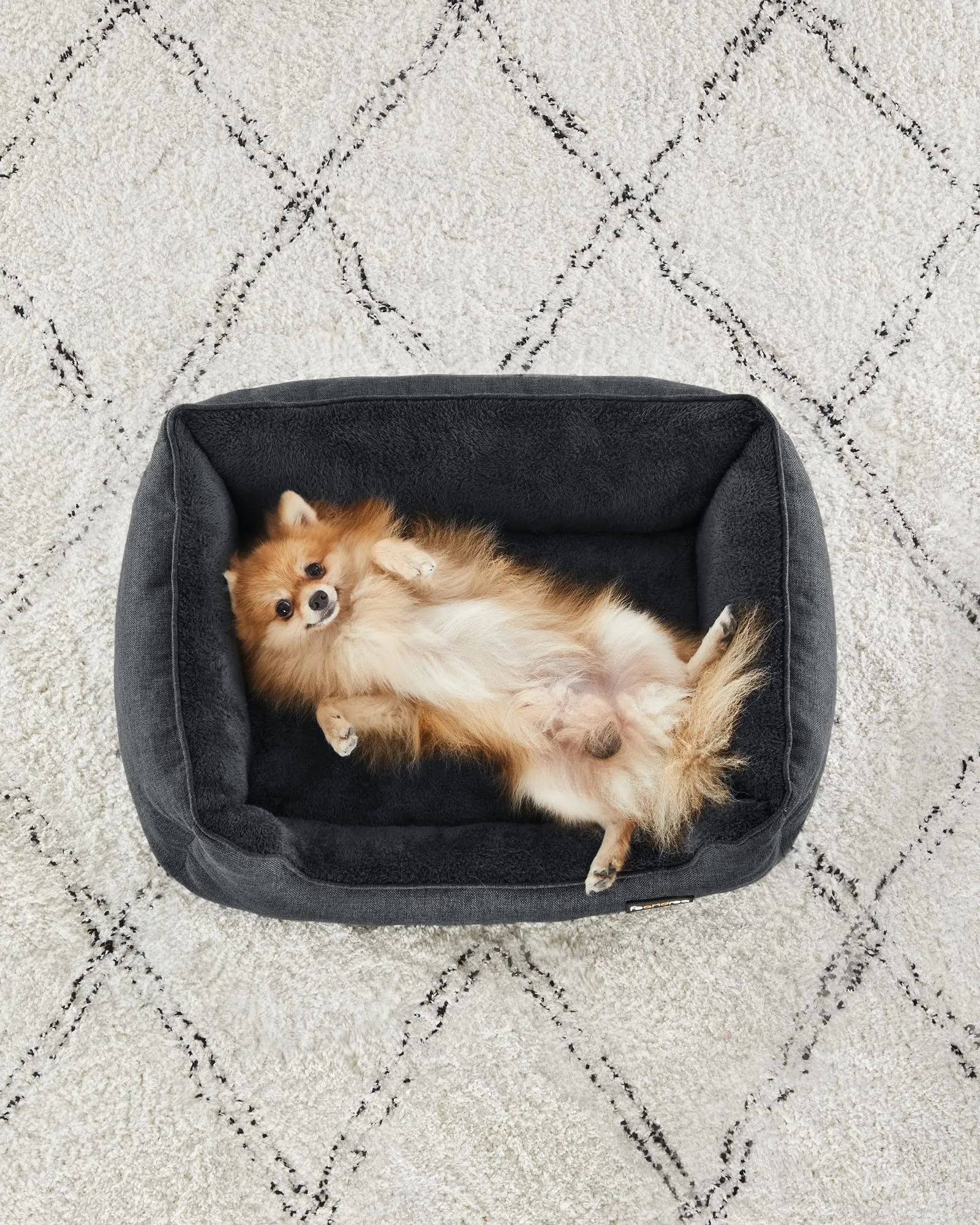 Feandrea Cuccia per Cani in Simil Lino, Taglia M, 70 x 55 x 21 cm, Grigio Scuro PGW010G01 - immagine 7