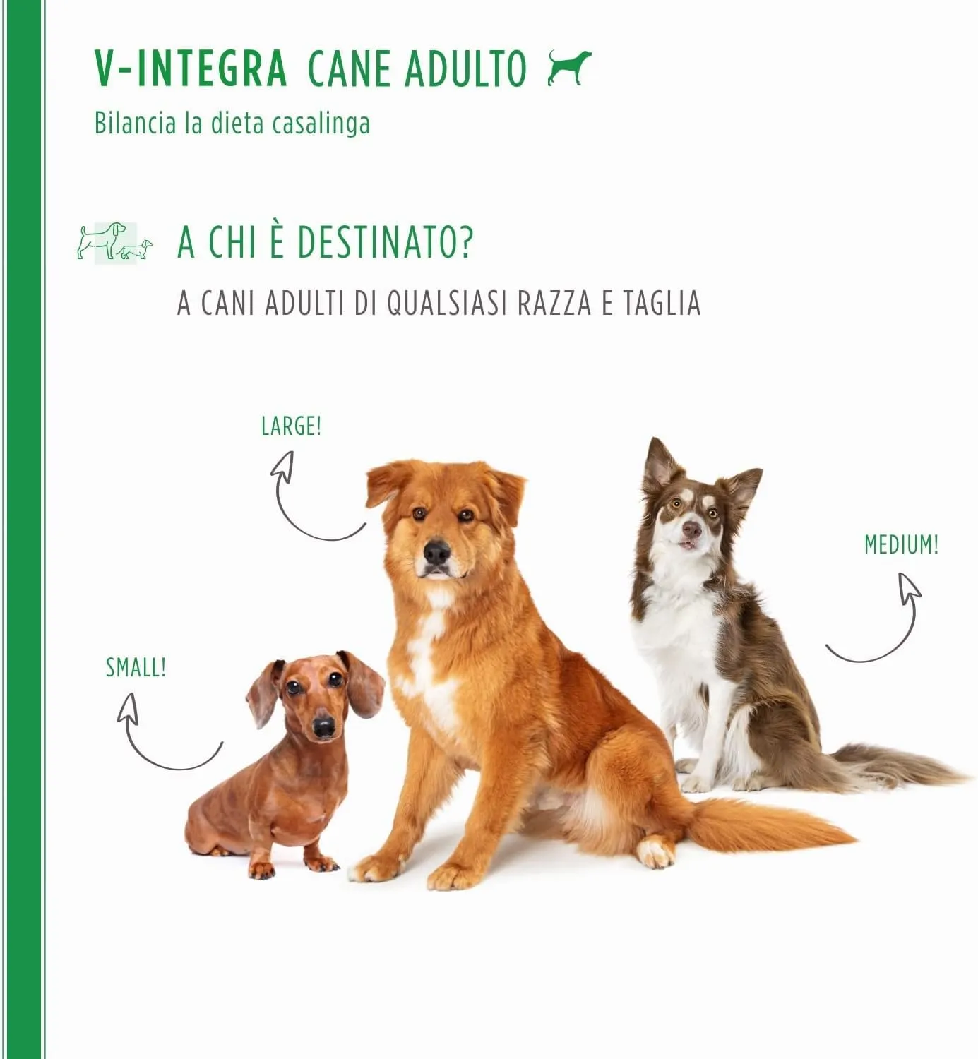 V-INTEGRA Cane Adulto, Integratore Multivitaminico per Dieta Casalinga e BARF, 500g - immagine 3