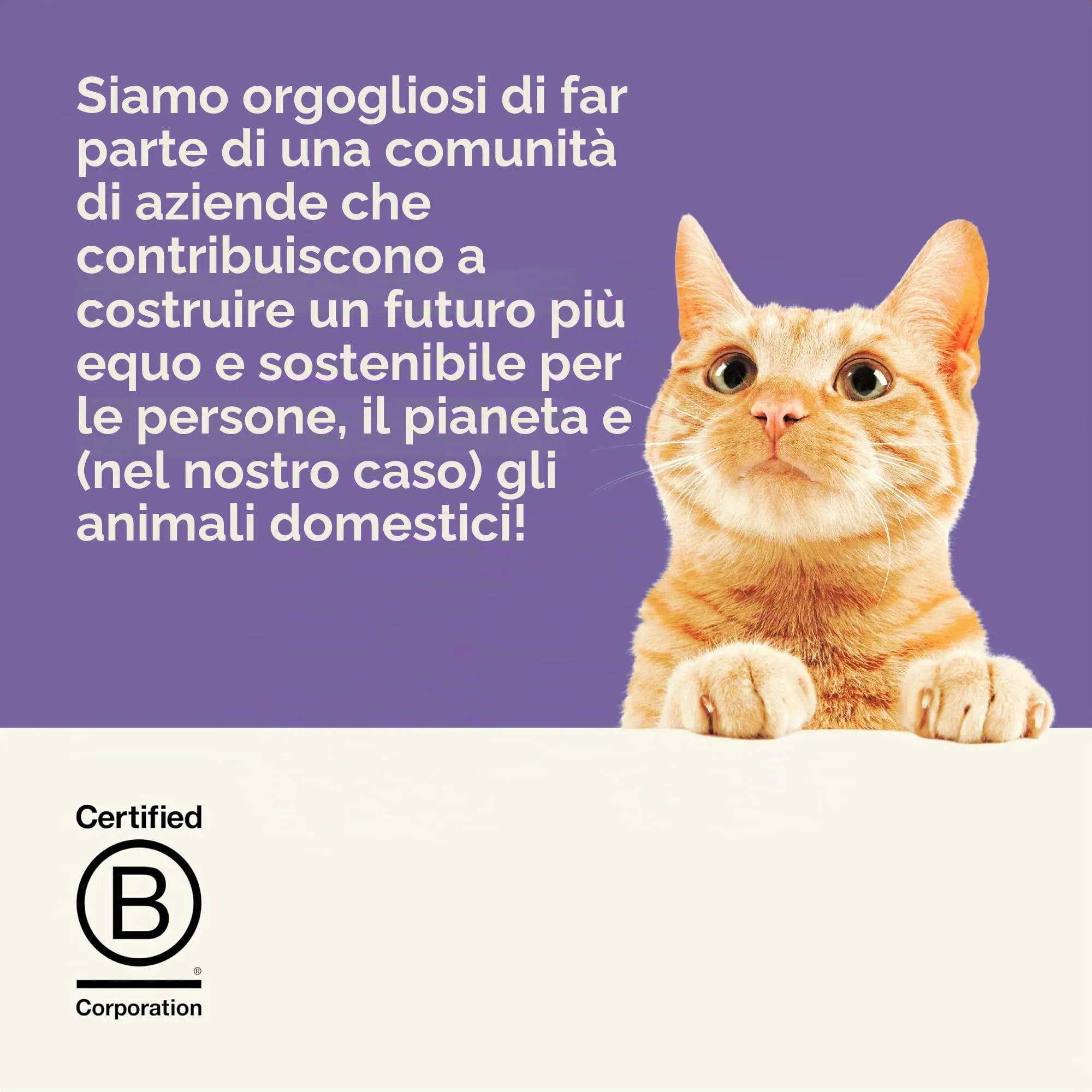 Applaws Cibo Umido per Gatti Adulti in Brodo Selezione Mista Tonno, Pollo, Pesce dell'Oceano - 12 x 70g - immagine 8