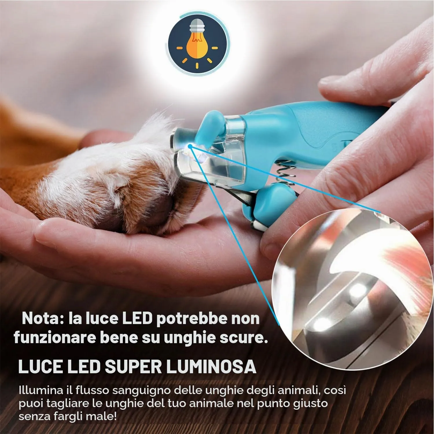 WWVVPET Tagliaunghie per Animali Domestici con Luce LED per Gatti e Cani - immagine 2