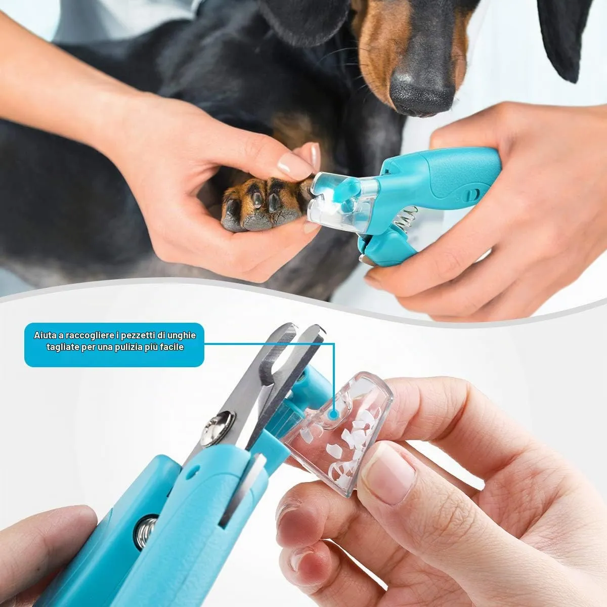 WWVVPET Tagliaunghie per Animali Domestici con Luce LED per Gatti e Cani - immagine 5