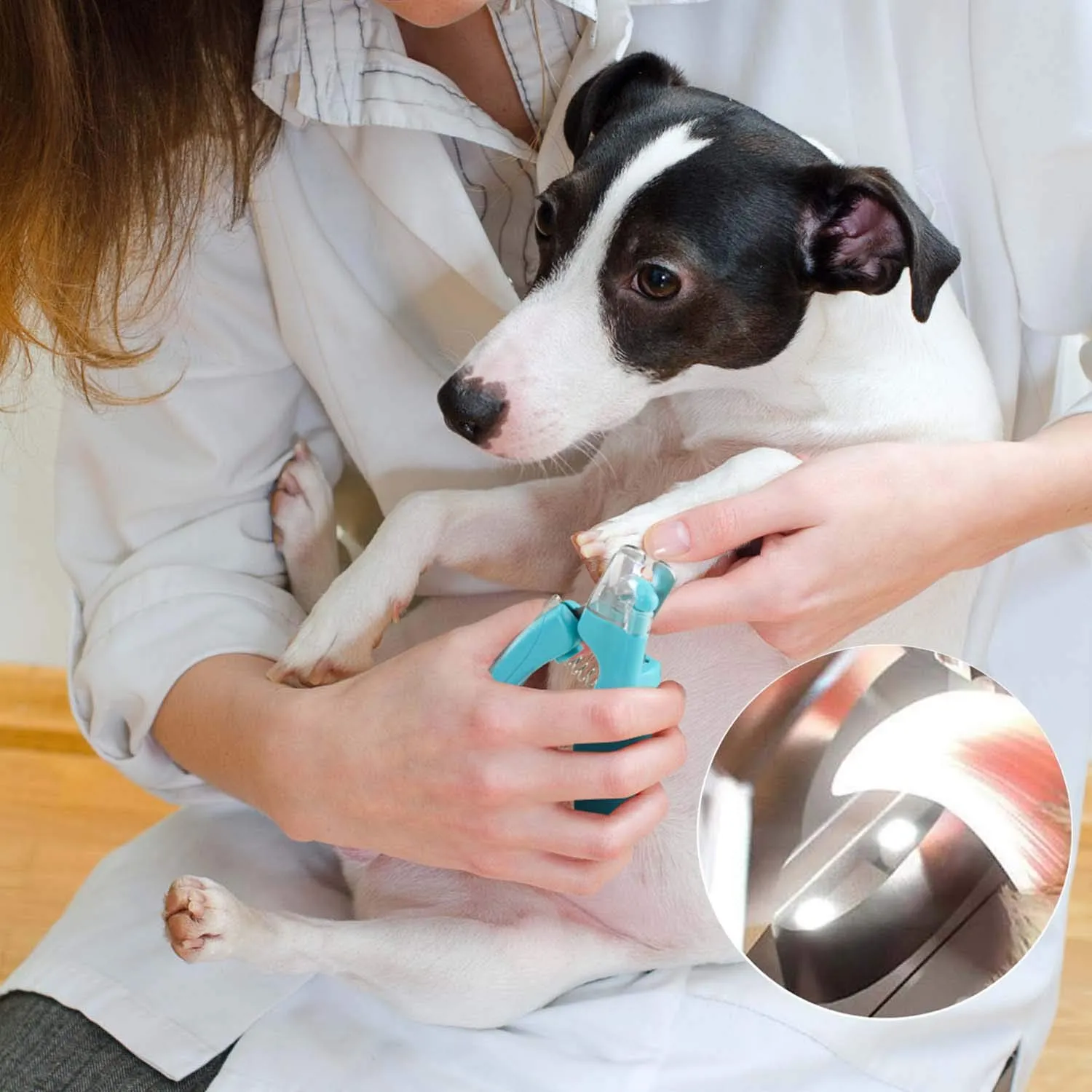WWVVPET Tagliaunghie per Animali Domestici con Luce LED per Gatti e Cani - immagine 8