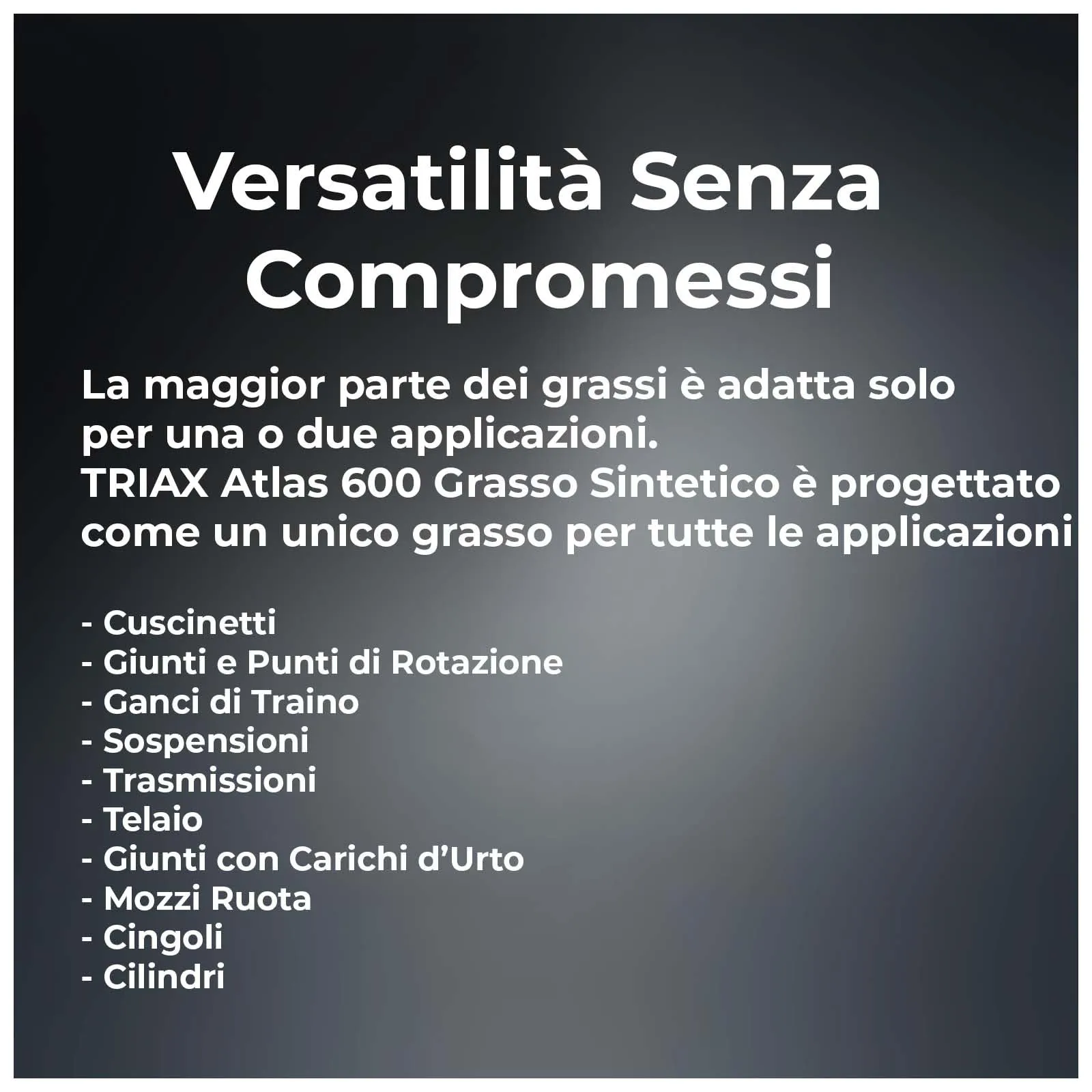 TRIAX Atlas 600 Grasso Sintetico Blu NLGI 2, 2 cartucce da 400 g - immagine 6