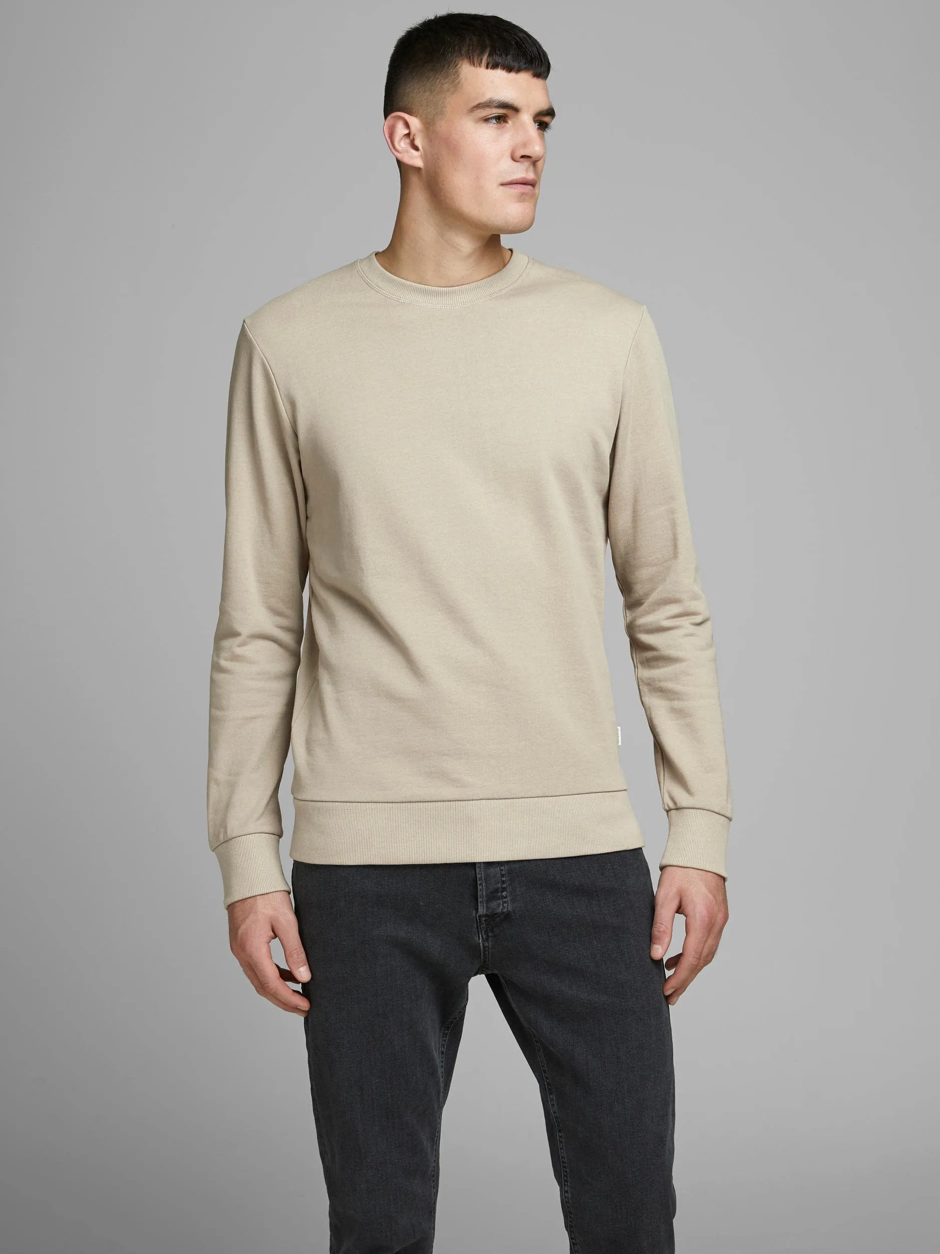 Jack & Jones JJEHOLMEN Sweat Crew Neck Noos Maglia di Tuta - Vasellame - M - immagine 2