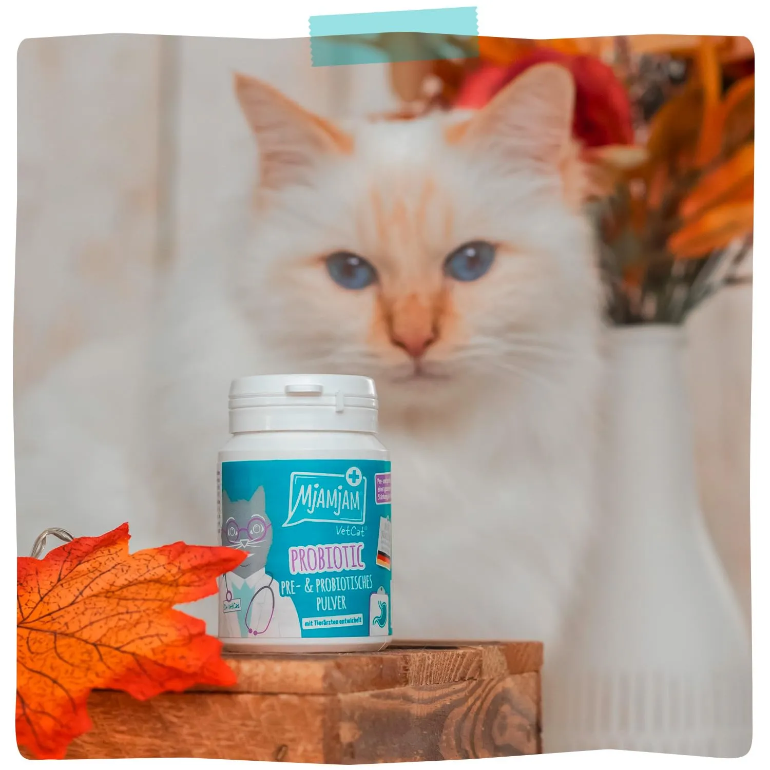 MjAMjAM VetCat Pre e Probiotico in polvere, 40g - immagine 6