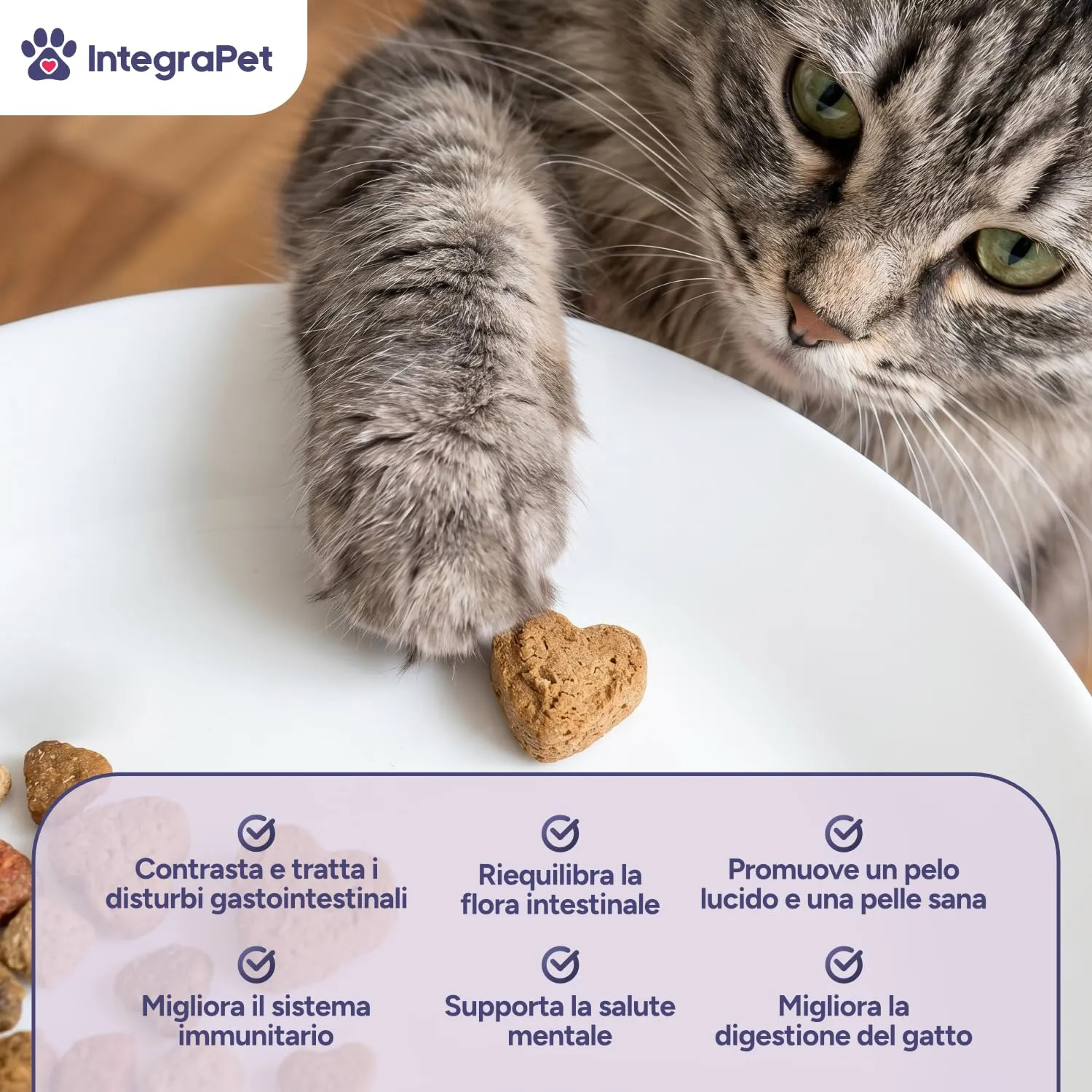 IntegraPet Probiotici per Gatti, Fermenti Lattici e Prebiotici Pesce e Pollo - immagine 3