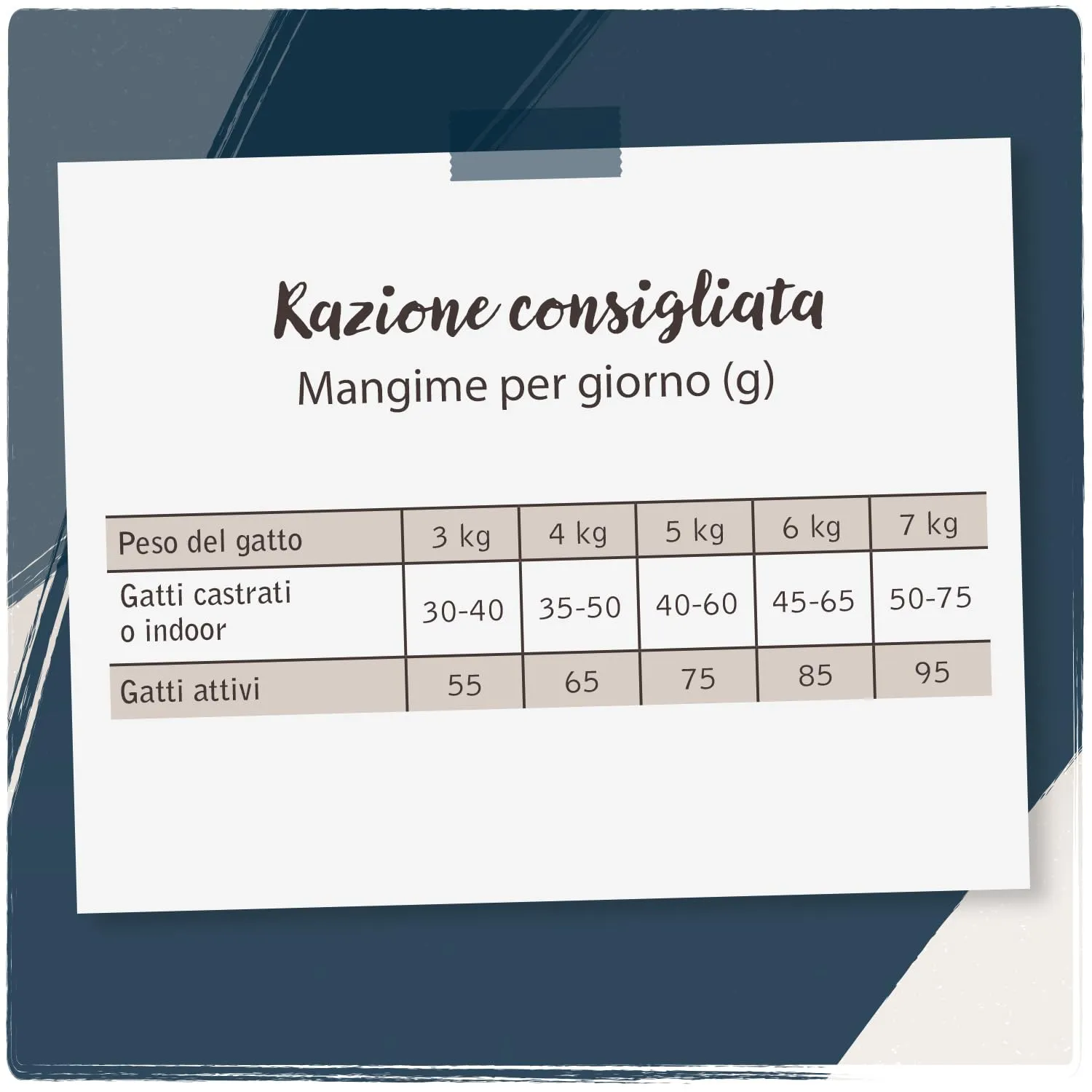 VenandiAnimal Mangime Secco per Gatti Agnello, Senza Cereali, 300 g - immagine 6