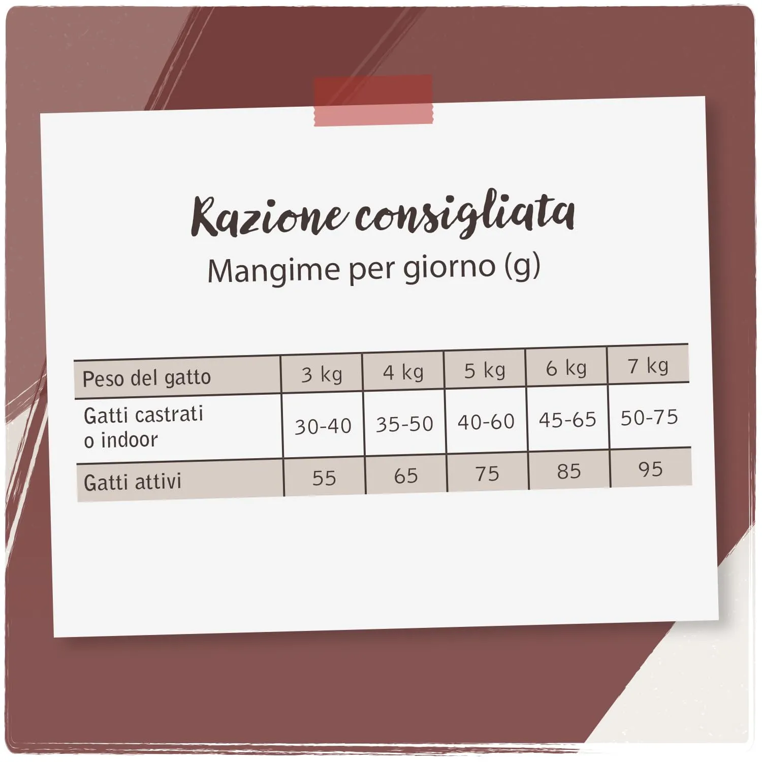 VenandiAnimal Bovino Mangime Secco per Gatti, Senza Cereali, 300 g - immagine 5