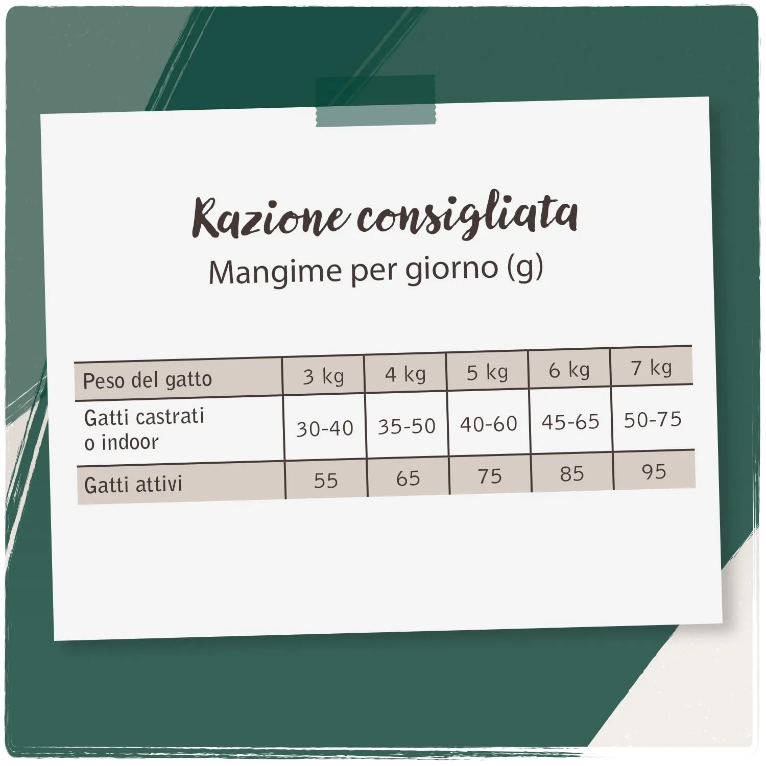 VenandiAnimal Salmone Mangime Secco Senza Cereali, 300 g - immagine 5