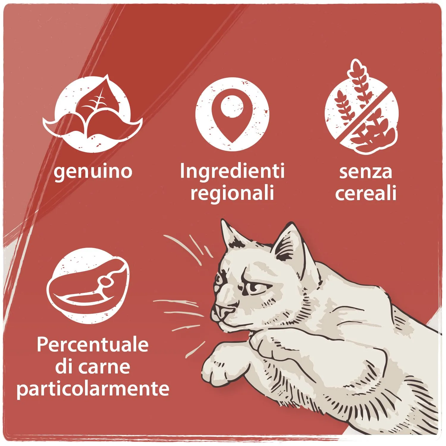 VenandiAnimal Pollo Mangime Secco per Gatti, Senza Cereali, 300 g - immagine 4
