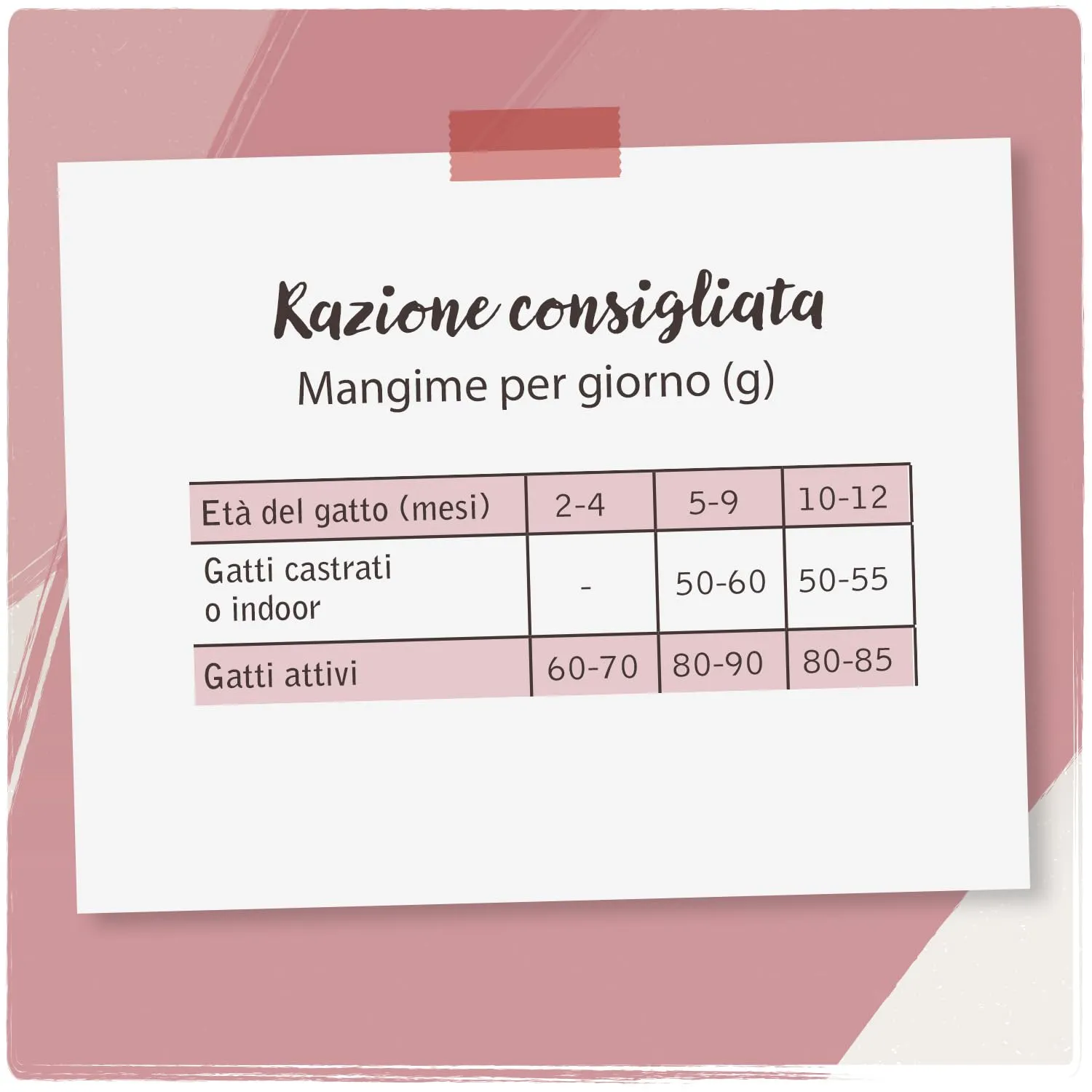 VenandiAnimal Cibo Secco Premium per Gatti Giovani Cacciatori 1.5 kg Senza Cereali - immagine 5