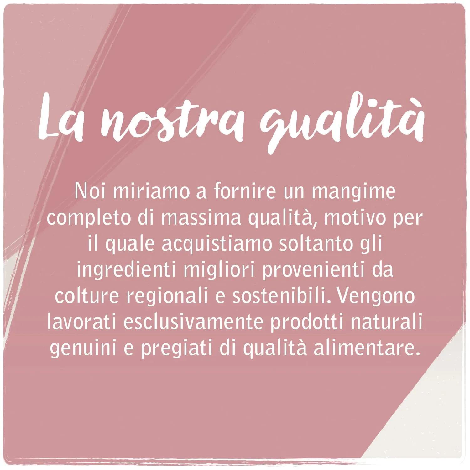 VenandiAnimal Cibo Secco Premium per Gatti Giovani Cacciatori, Senza Cereali, 300 g - immagine 2