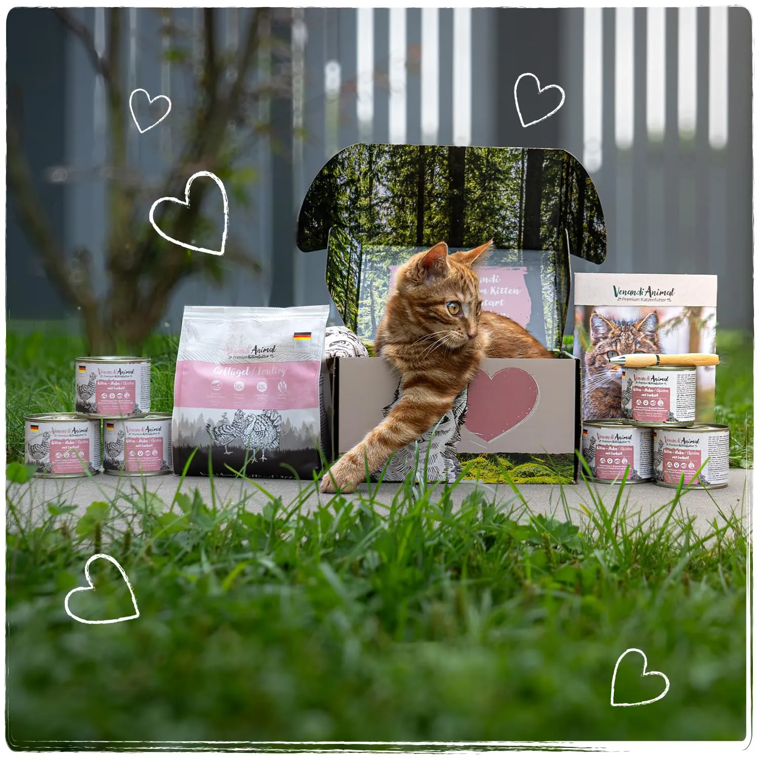 VenandiAnimal Cibo Secco Premium per Gatti Giovani Cacciatori, Senza Cereali, 300 g - immagine 6