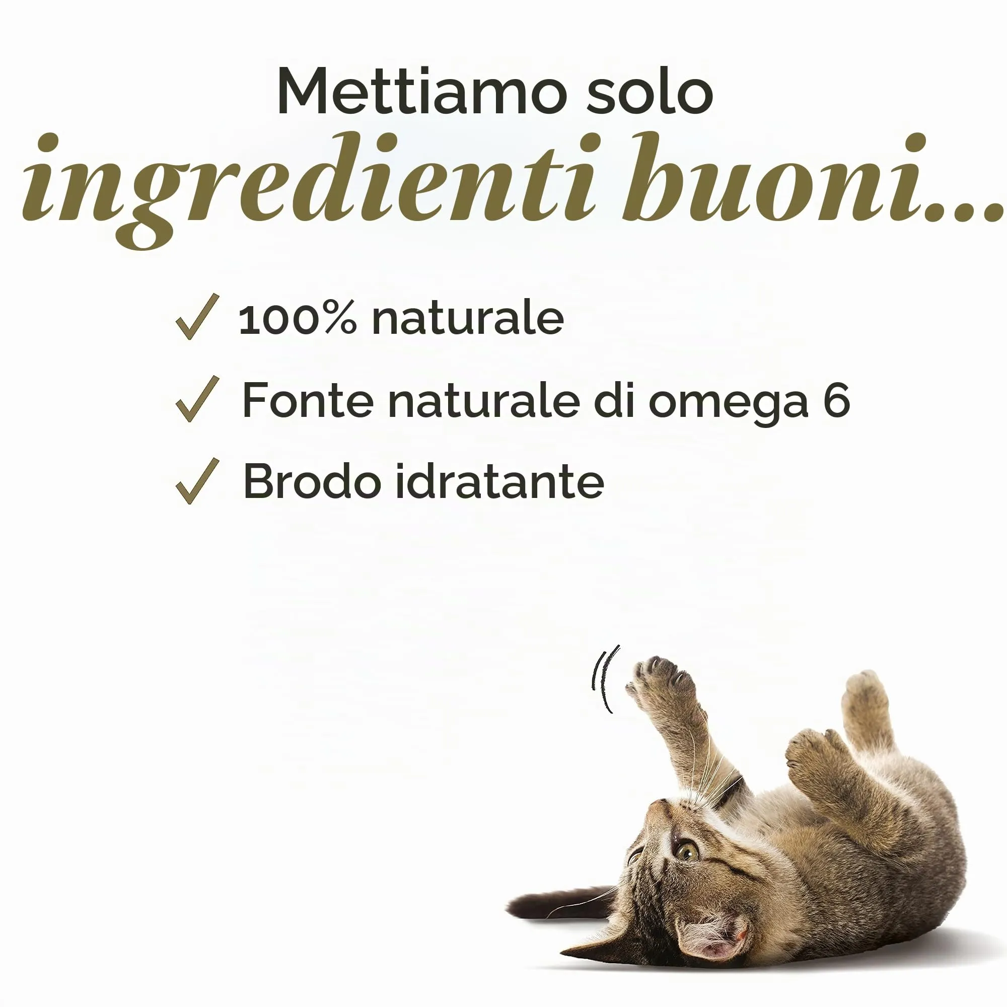 Applaws Cibo Umido per Gatti Adulti, Pollo con Formaggio in Brodo, 24 Lattine da 156g - immagine 4