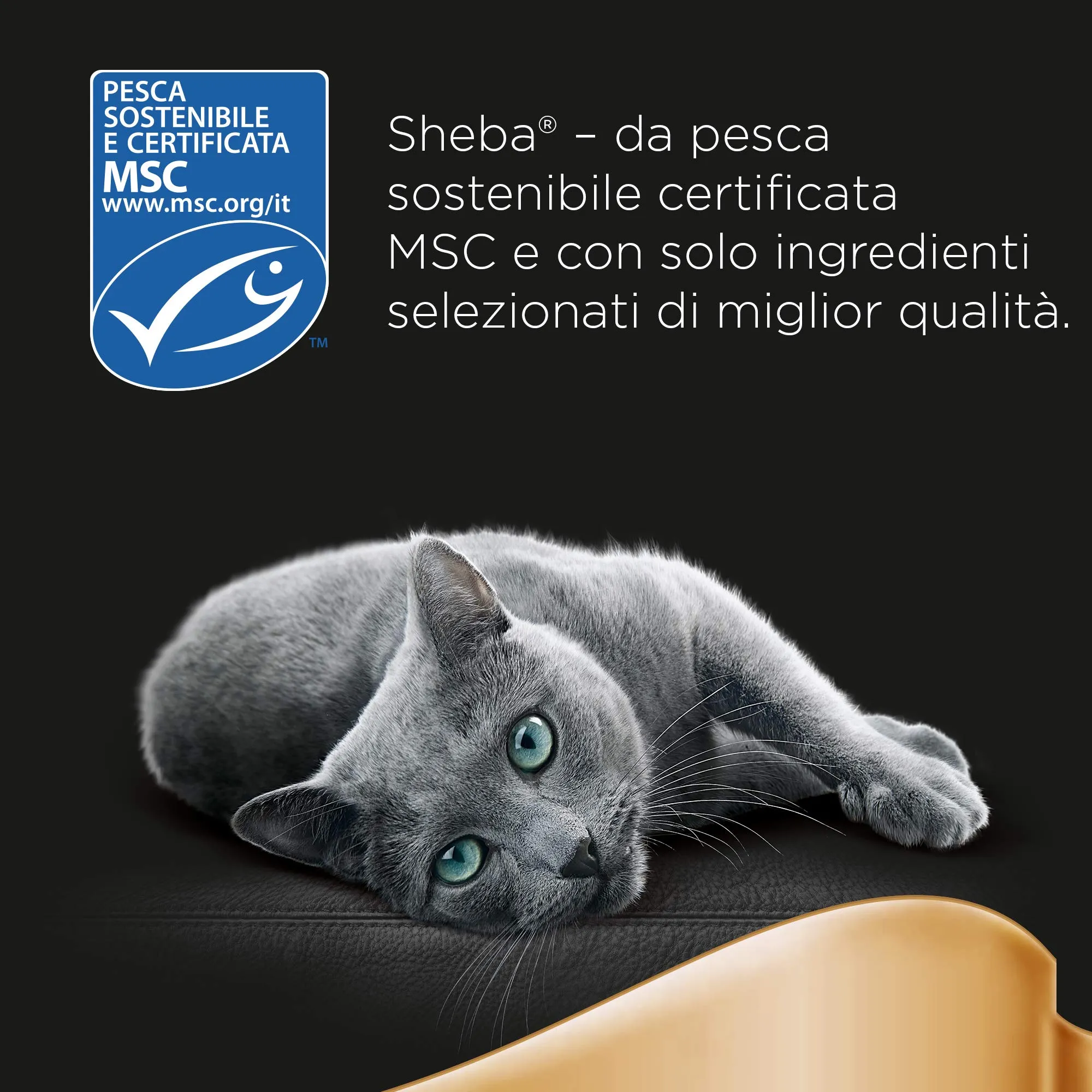 Sheba Sauce Collection Cibo Umido per Gatti con Tonno in Salsa Delicata, 22 Vaschette da 85 g - immagine 7