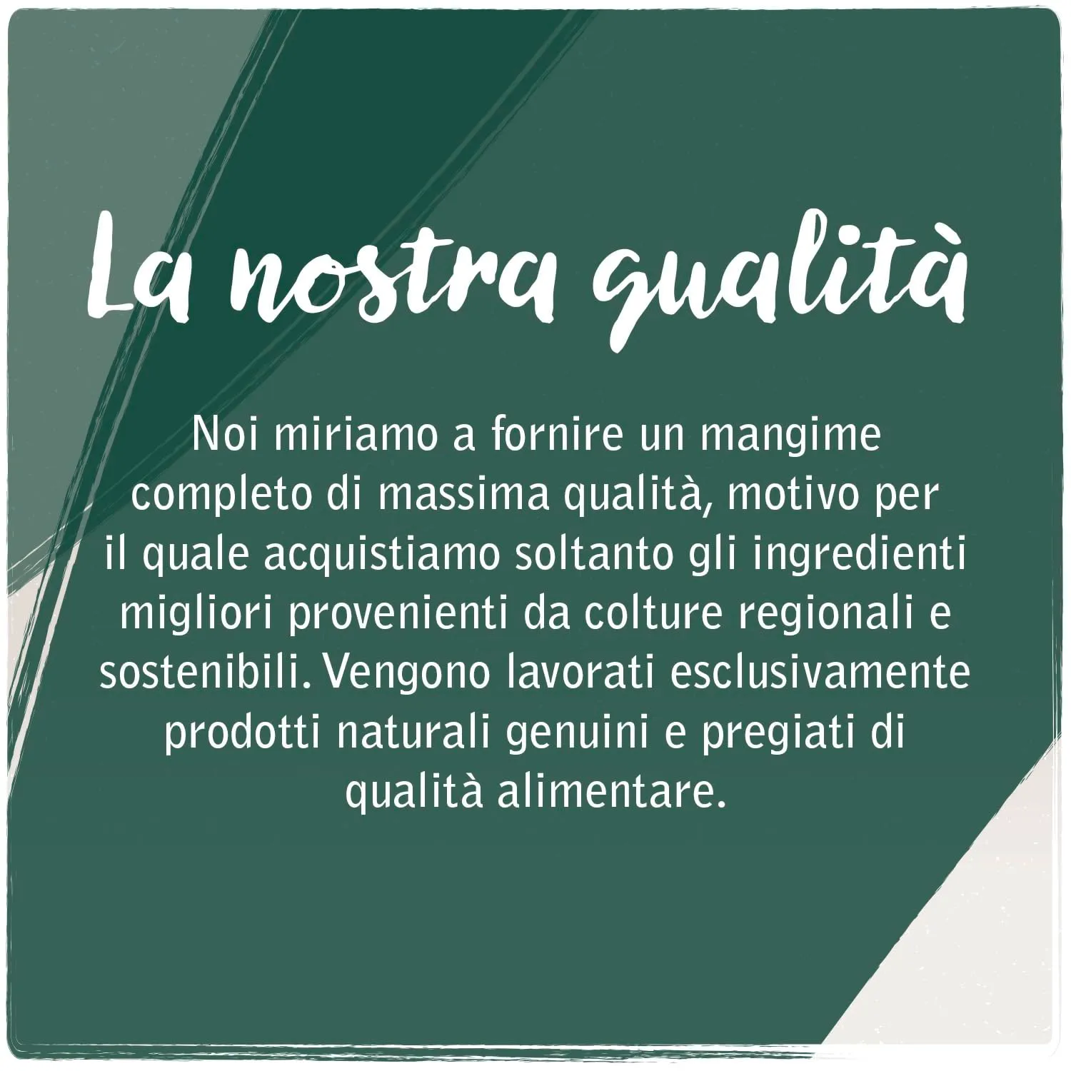 Venandi Animal Cibo secco per gatti premium al salmone, senza cereali, 6.5 kg - immagine 2