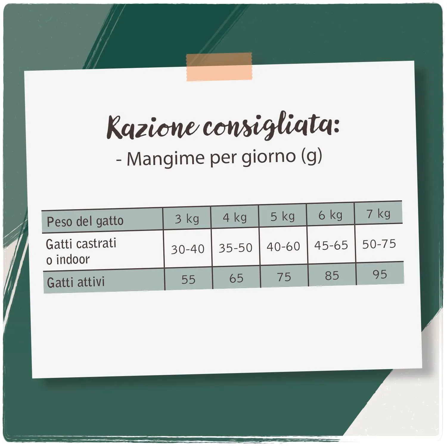 Venandi Animal Cibo secco per gatti premium al salmone, senza cereali, 6.5 kg - immagine 5