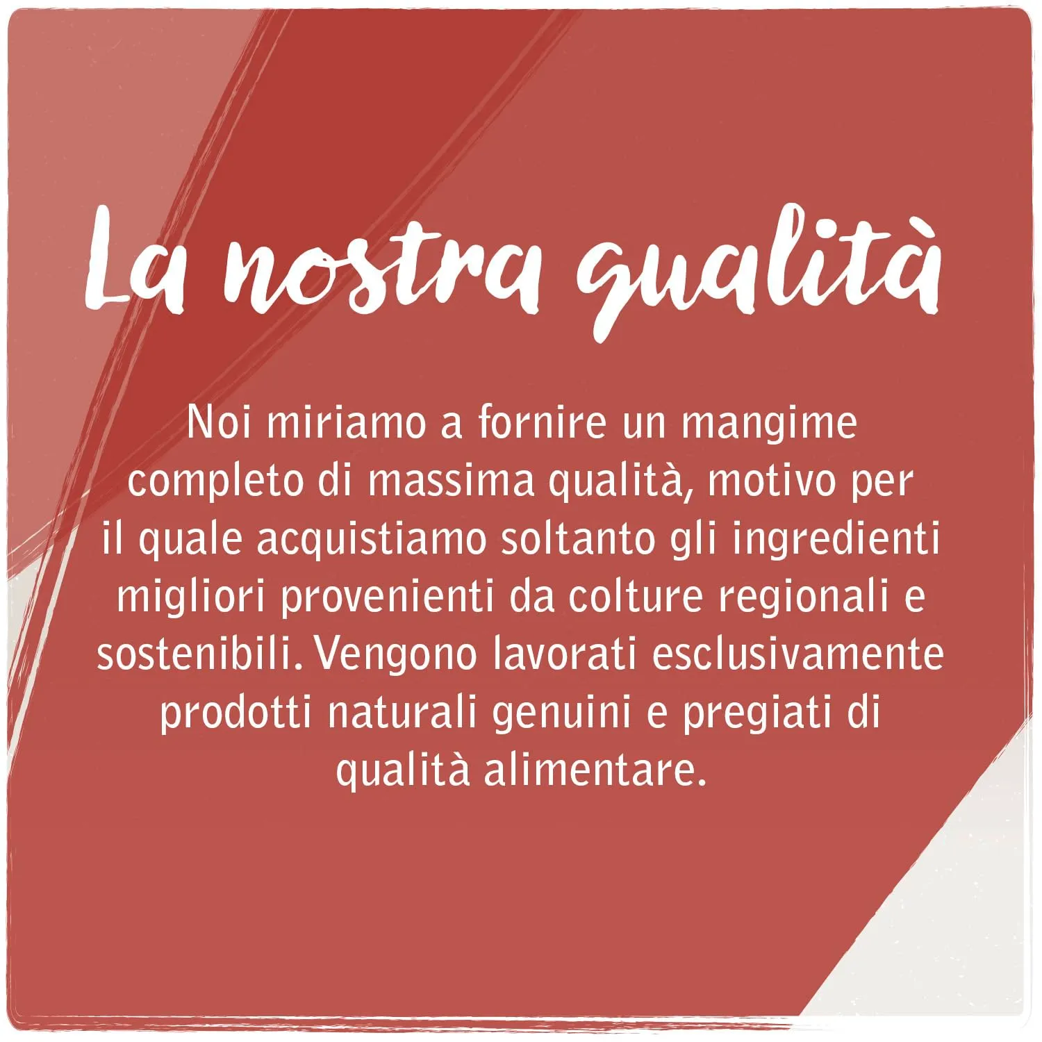VenandiAnimal Cibo secco per gatti premium al pollo, senza cereali, 6.5 kg - immagine 3