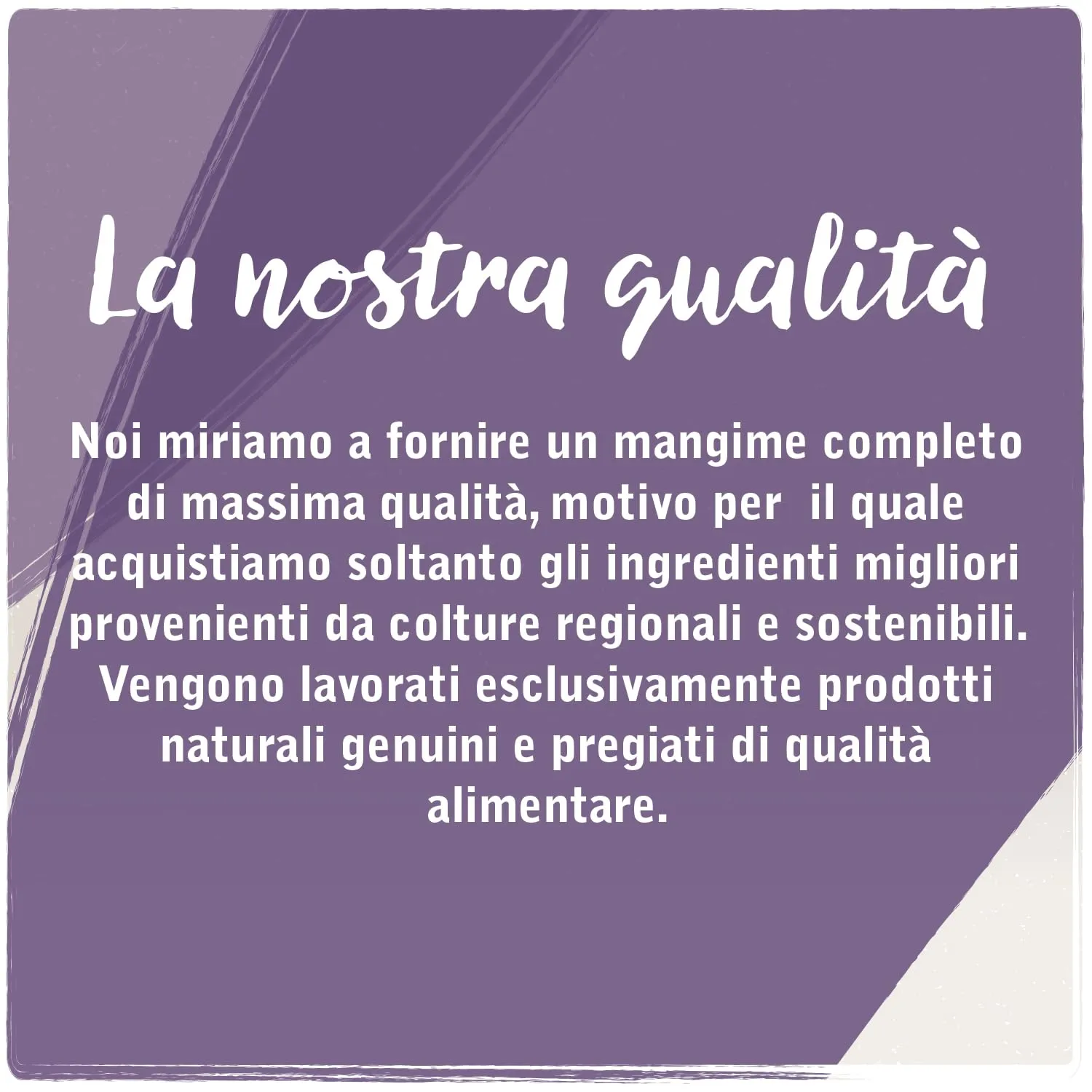 VenandiAnimal Cibo secco premium per gatti al Cavallo, senza cereali, 1.5 kg - immagine 2