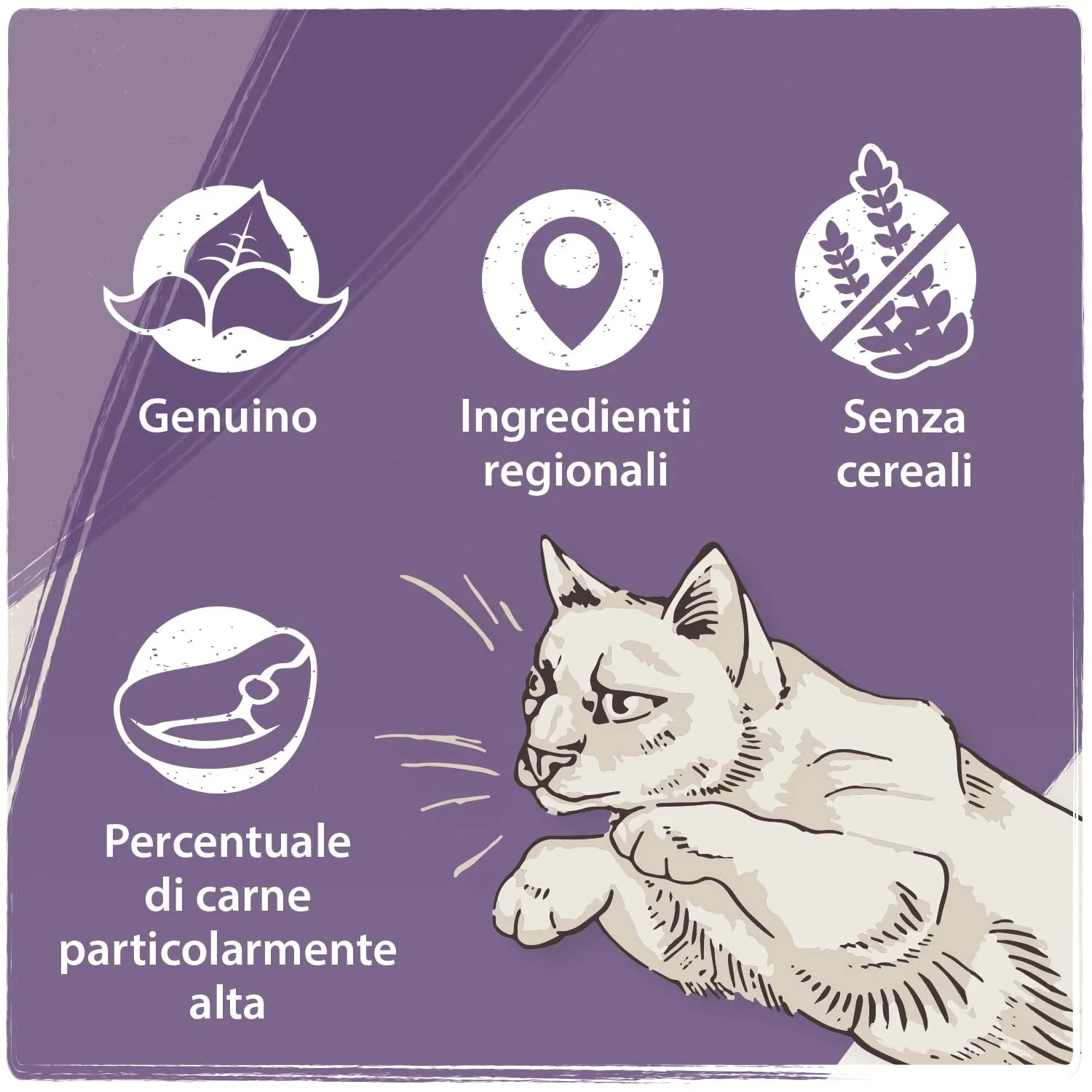 VenandiAnimal Cibo secco premium per gatti al Cavallo, senza cereali, 1.5 kg - immagine 4